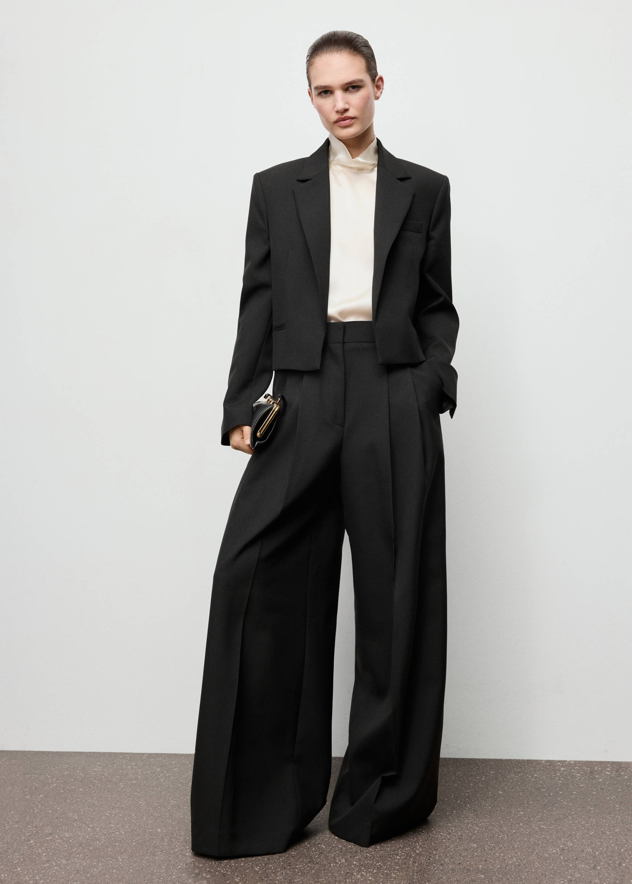 Wide leg pleated suit trousers - General plane