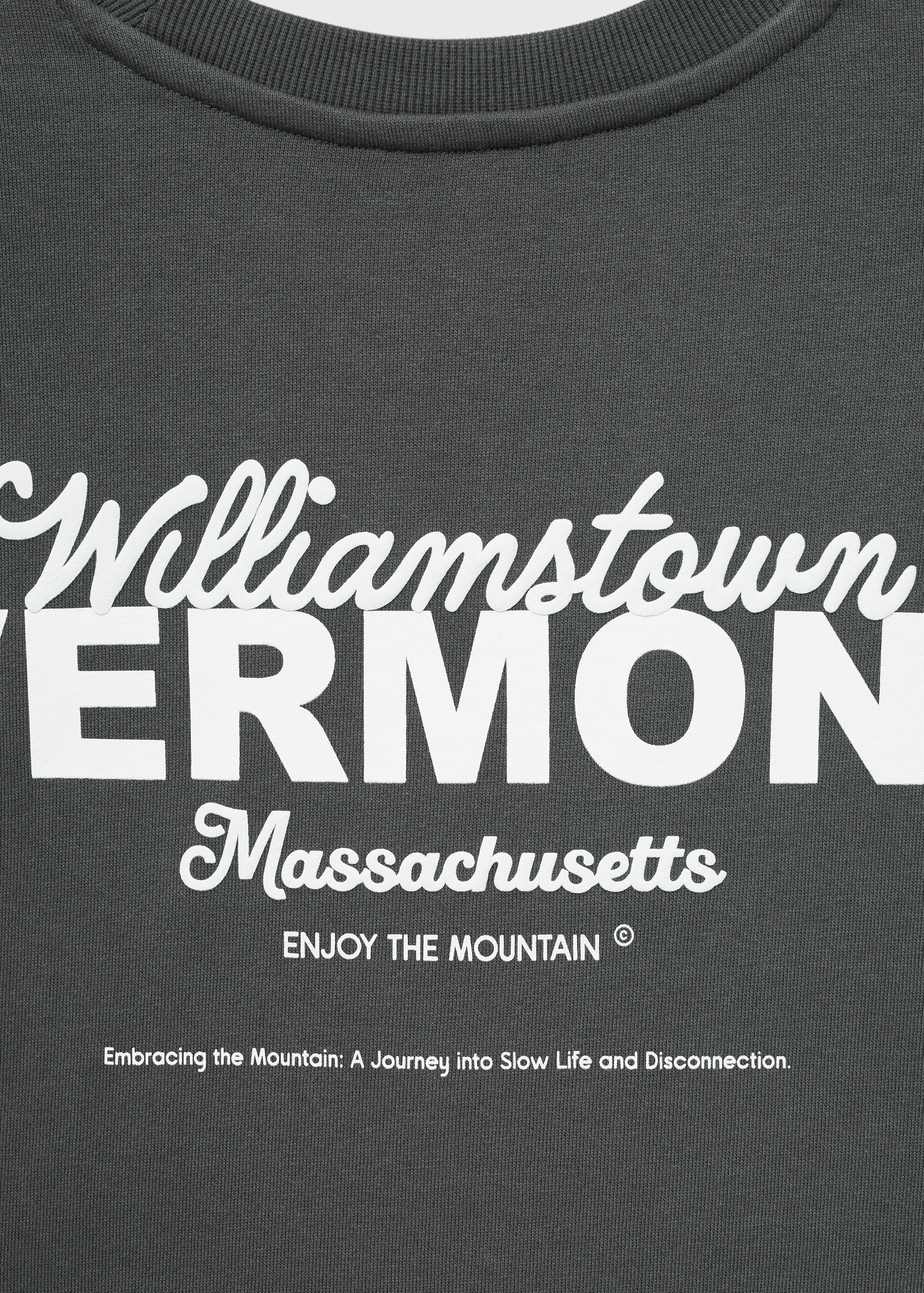 Принтованный свитшот из хлопка - Деталь изделия 0