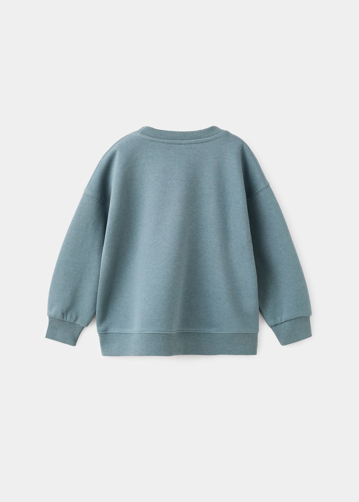 Animal-print sweatshirt — Aqua Green