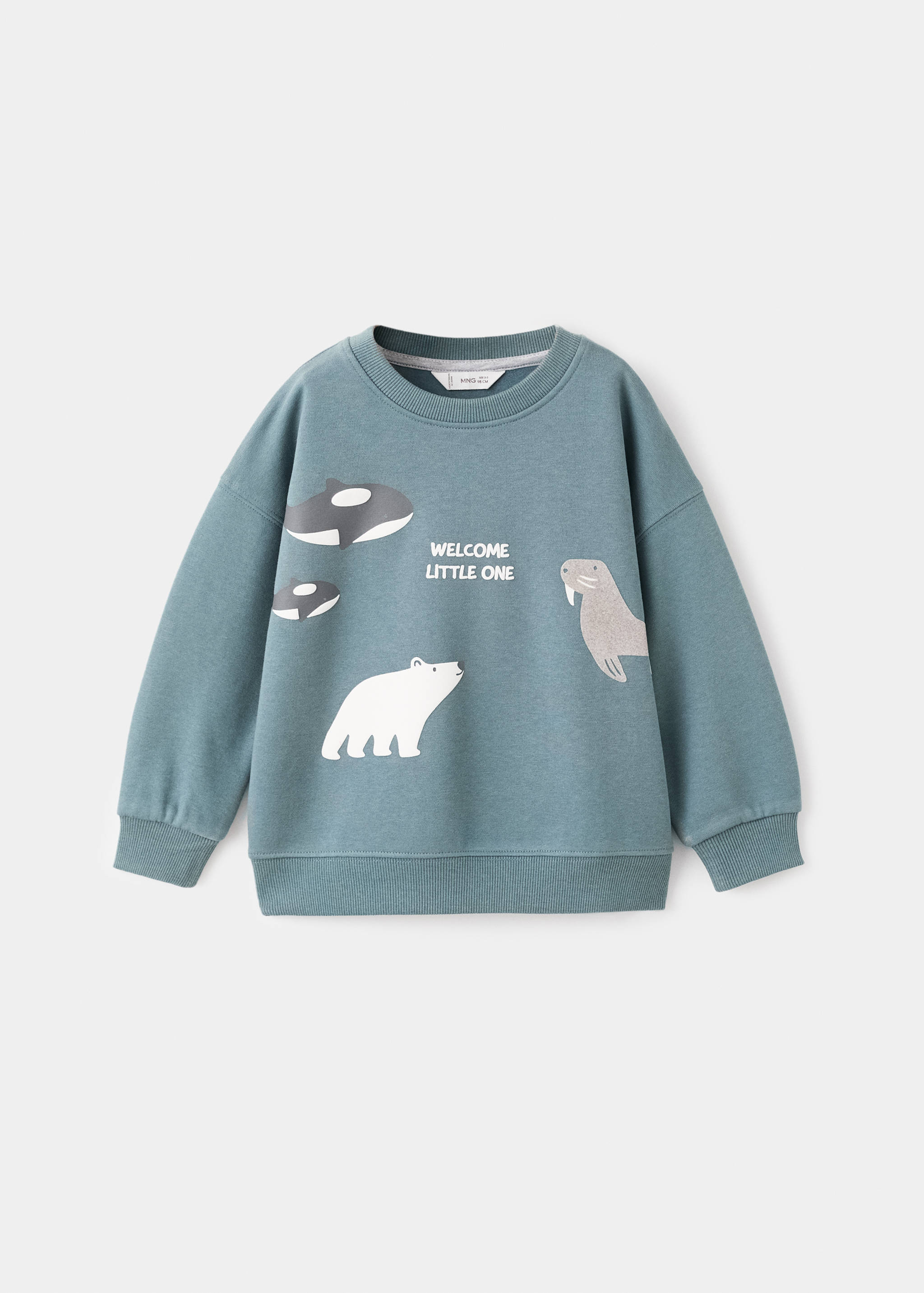 Sage green children's sweatshirt with Arctic animal graphics and text.