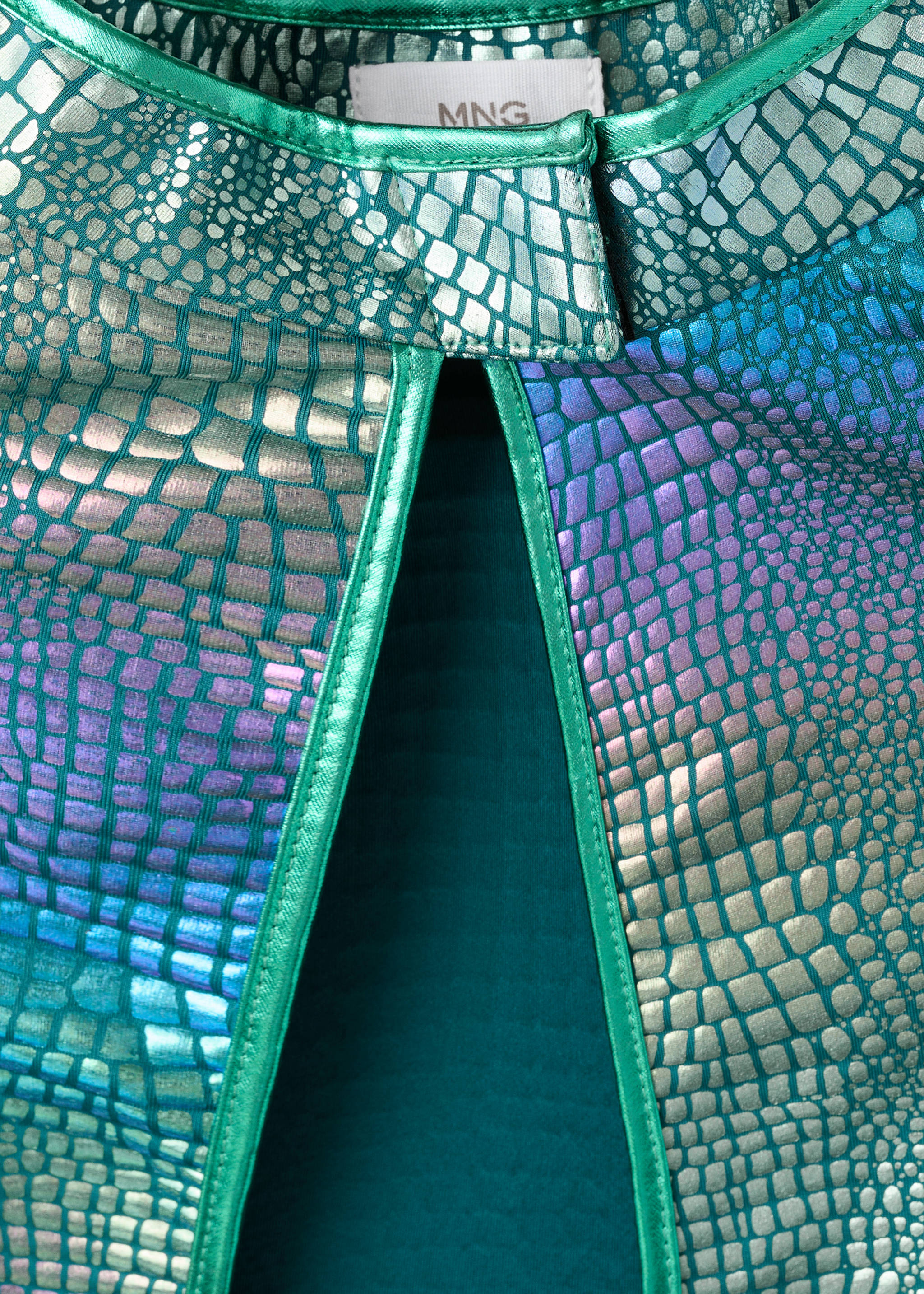 Dragon-mask cloak - Details of the article 1