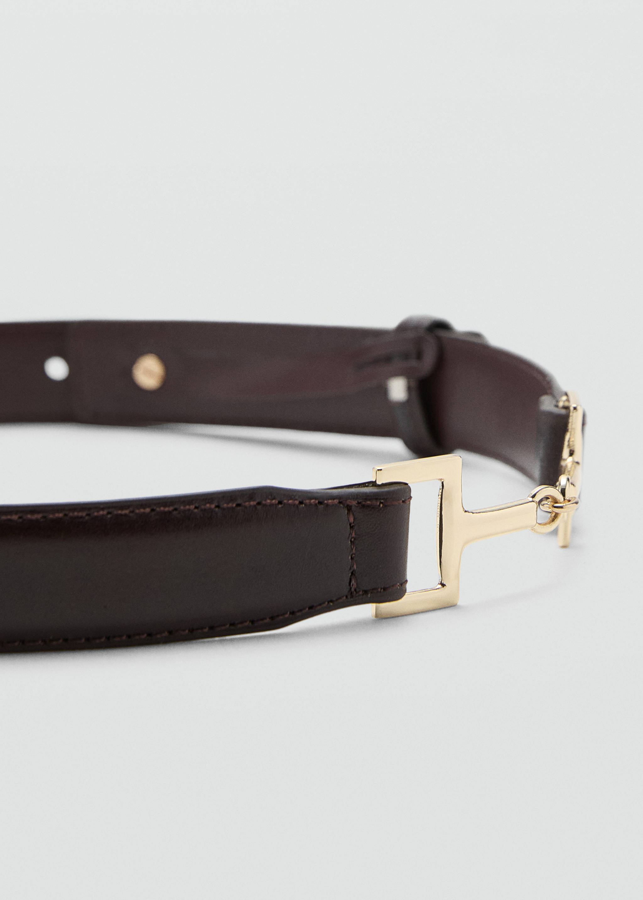 Leather belt with metal detail - Medium plane