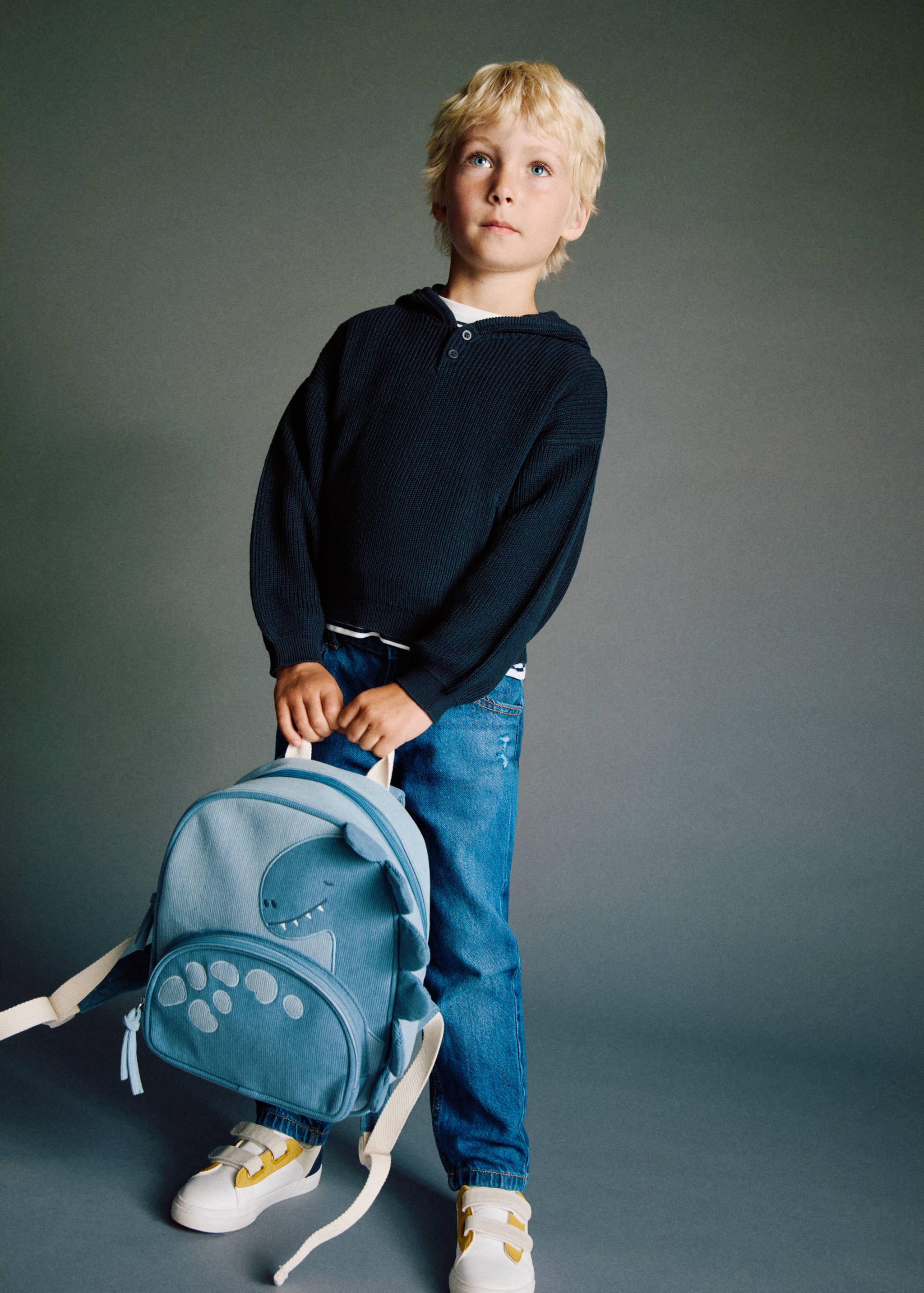 Dinosaur backpack - General plane