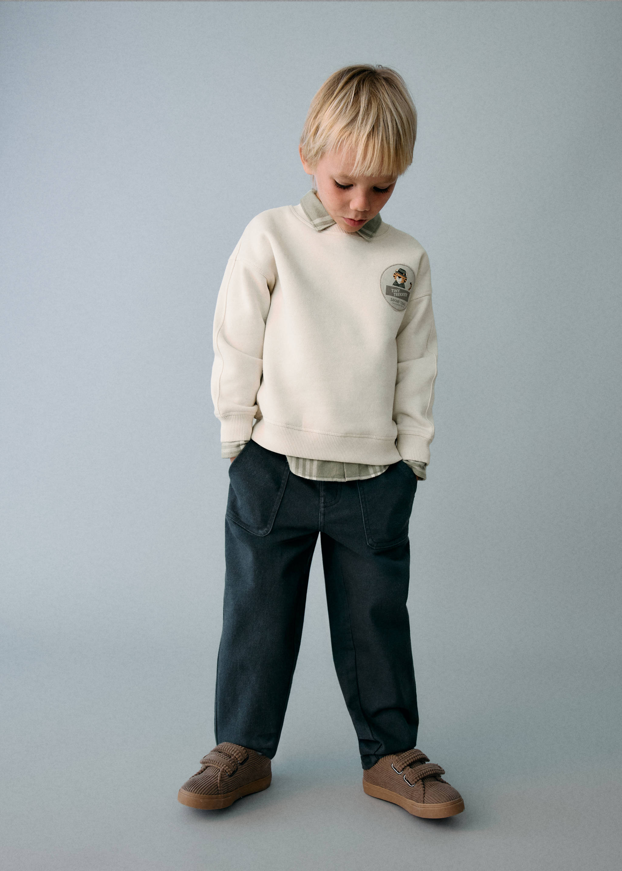 Lion print sweatshirt - General plane