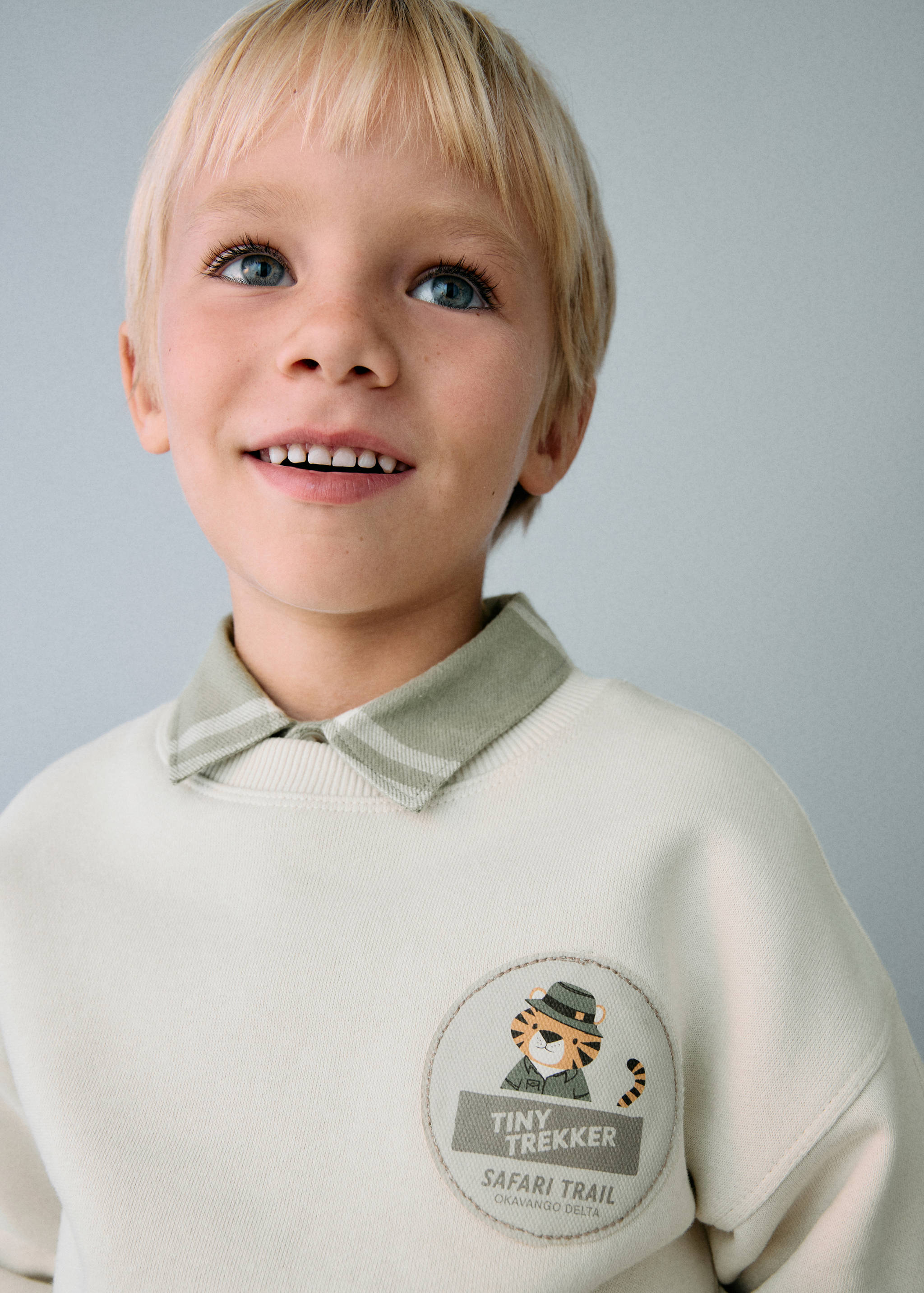 Lion print sweatshirt - Details of the article 1