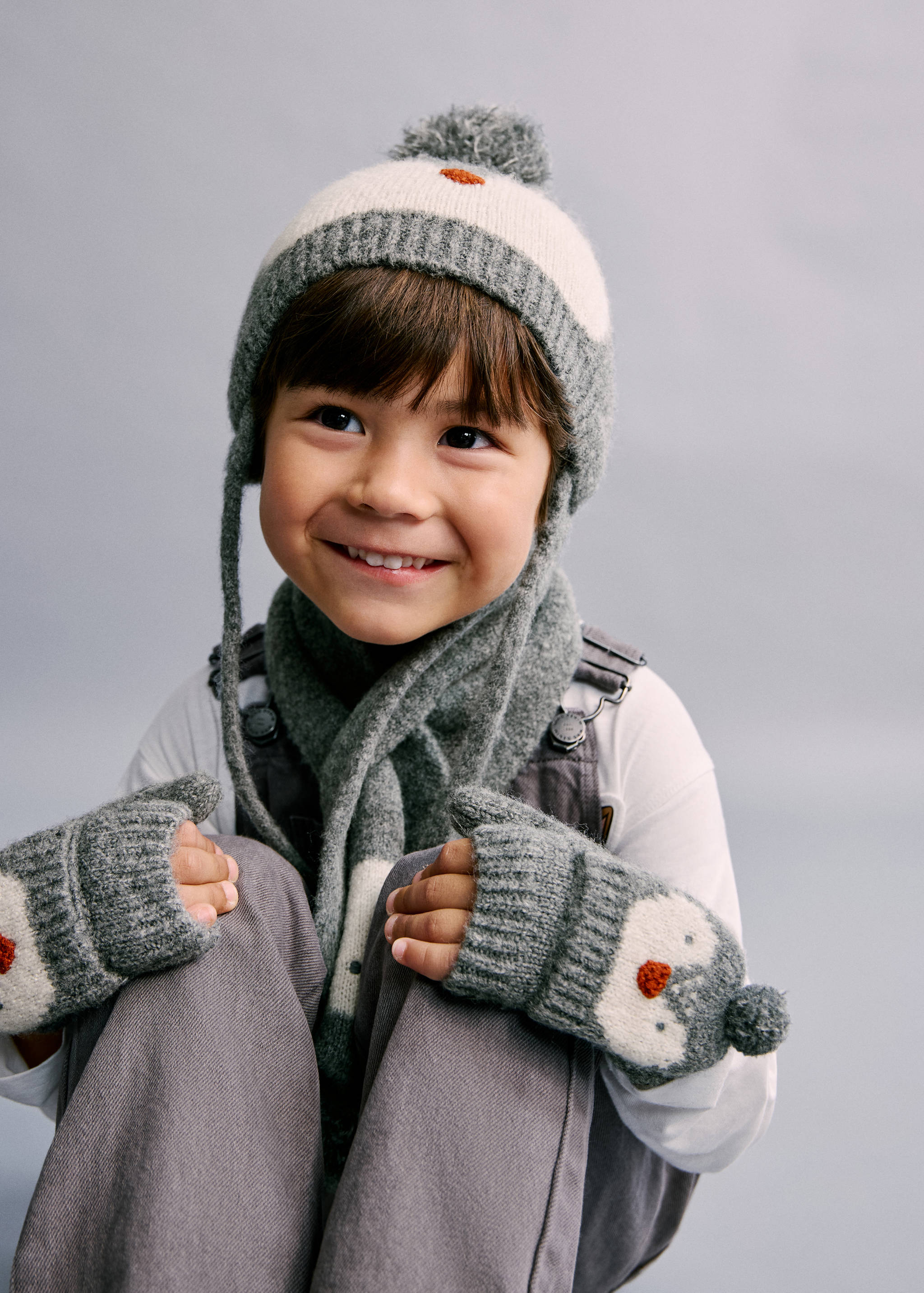 Bonnet pingouin - Plan général