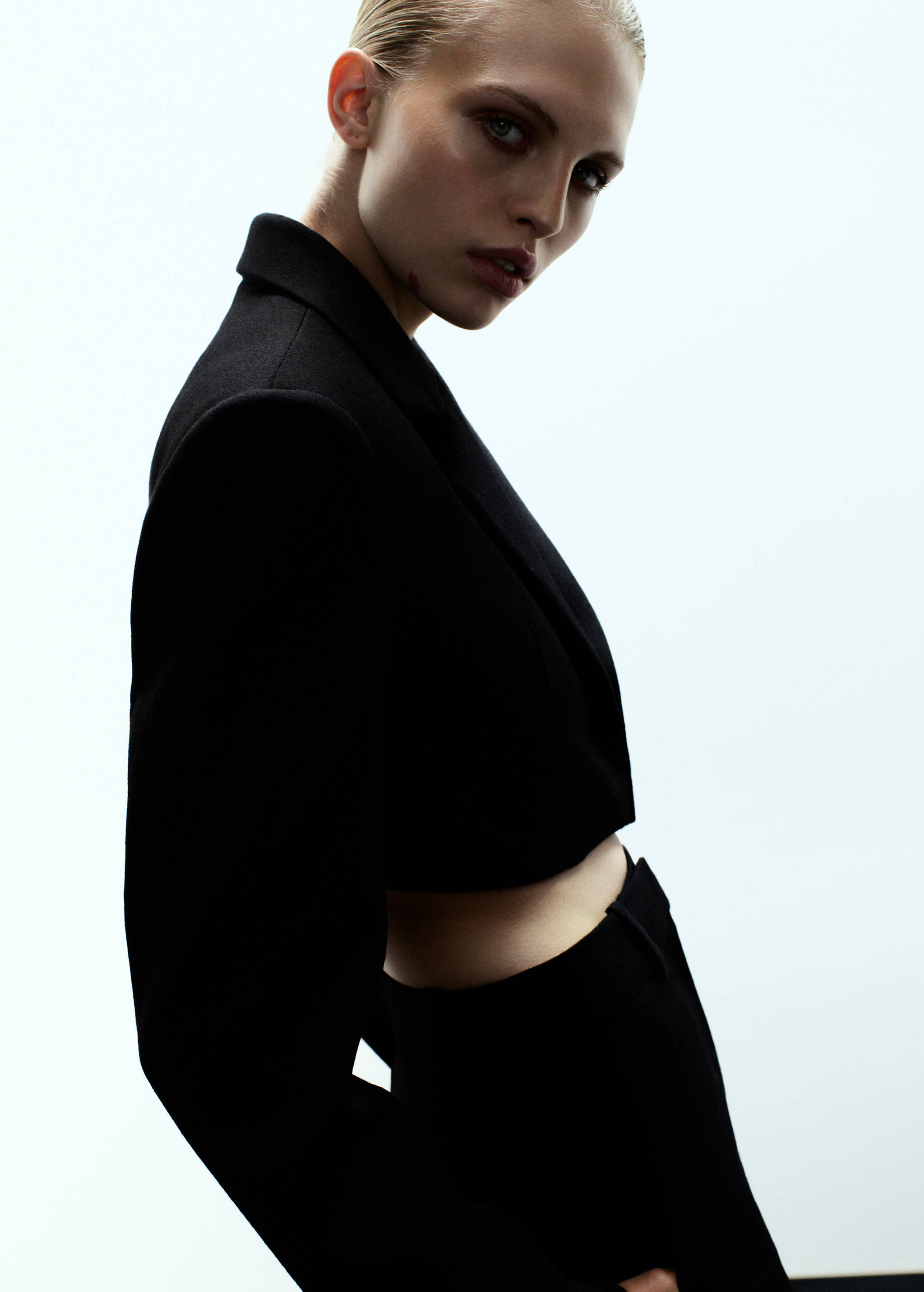 Wool cropped suit jacket - Medium plane