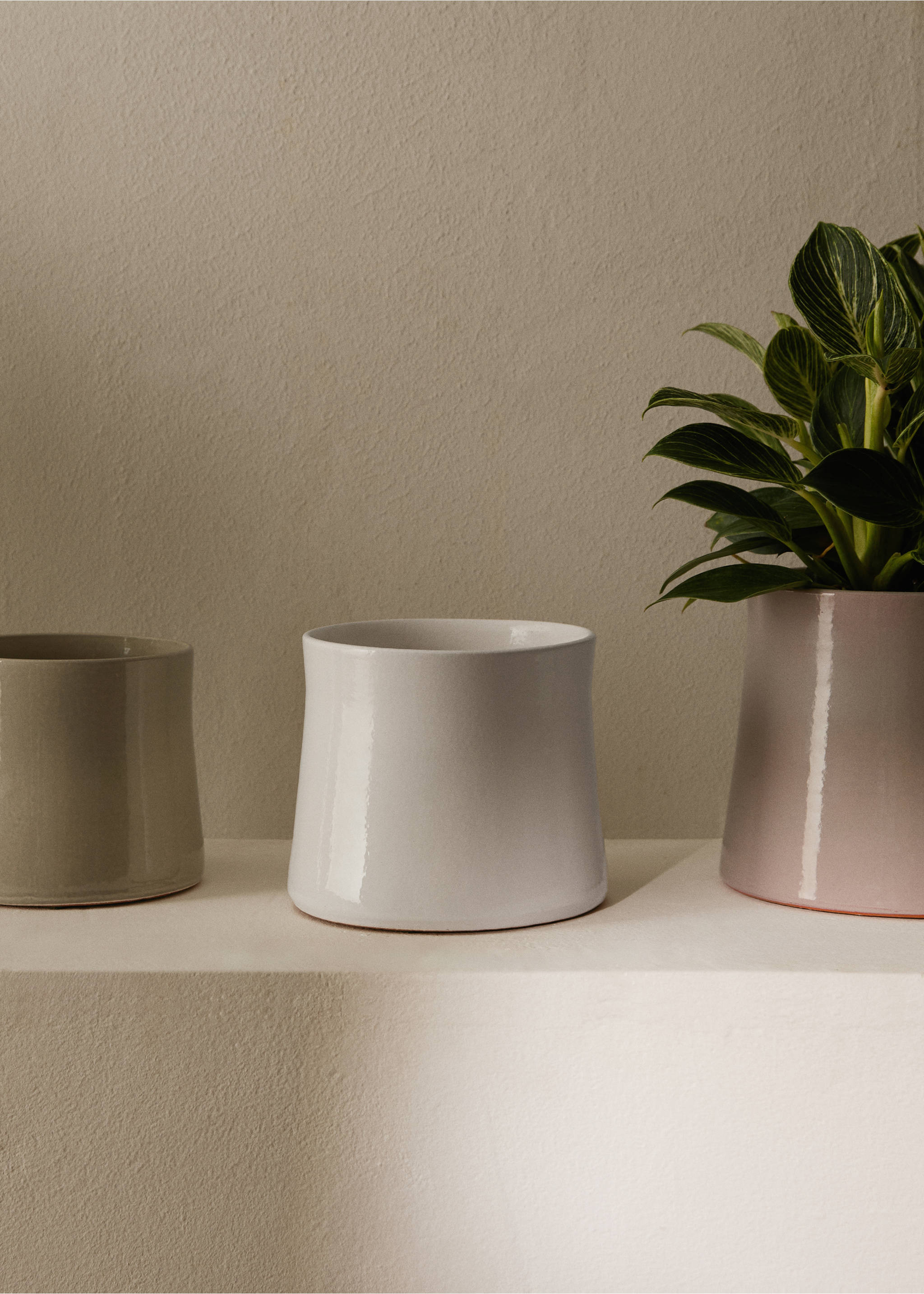 Medium terracotta planter - General plane, White. Ref: 17081582-00.