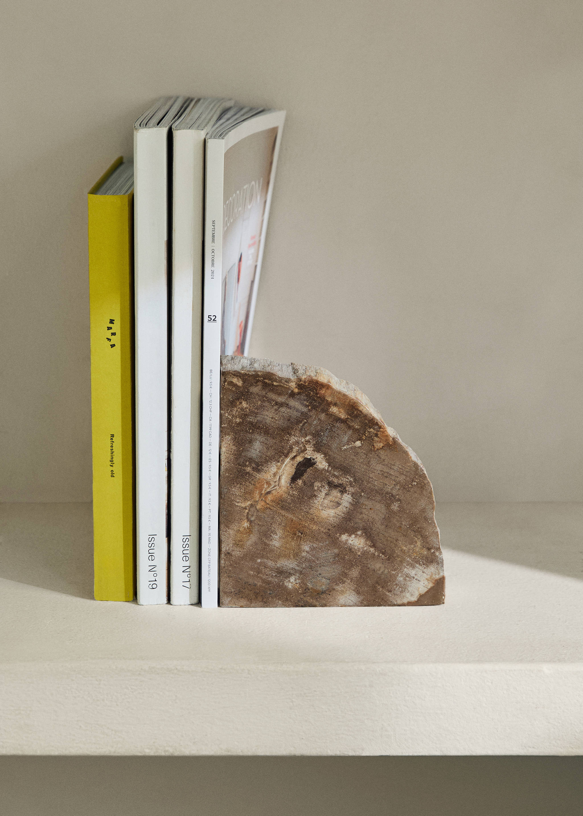 Petrified wood bookends - General plane