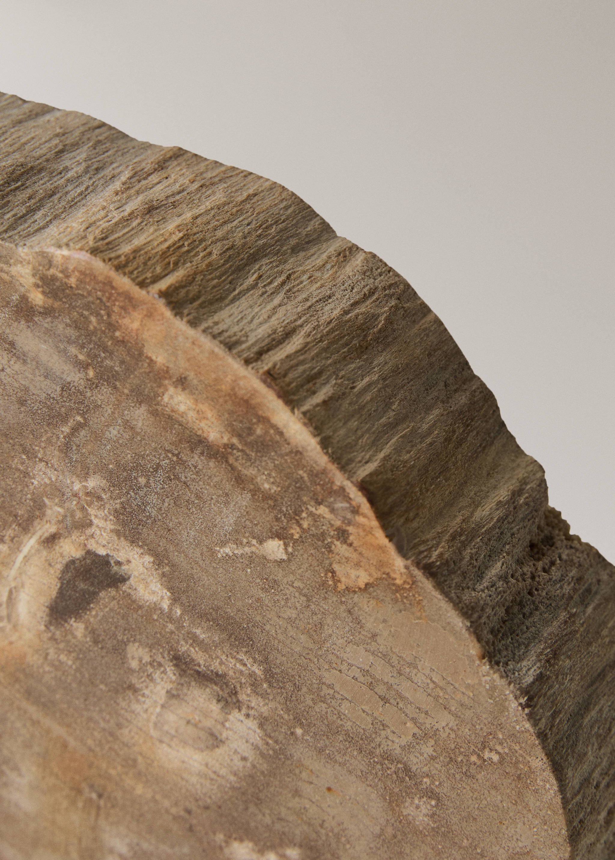 Petrified wood bookends - Details of the article 2