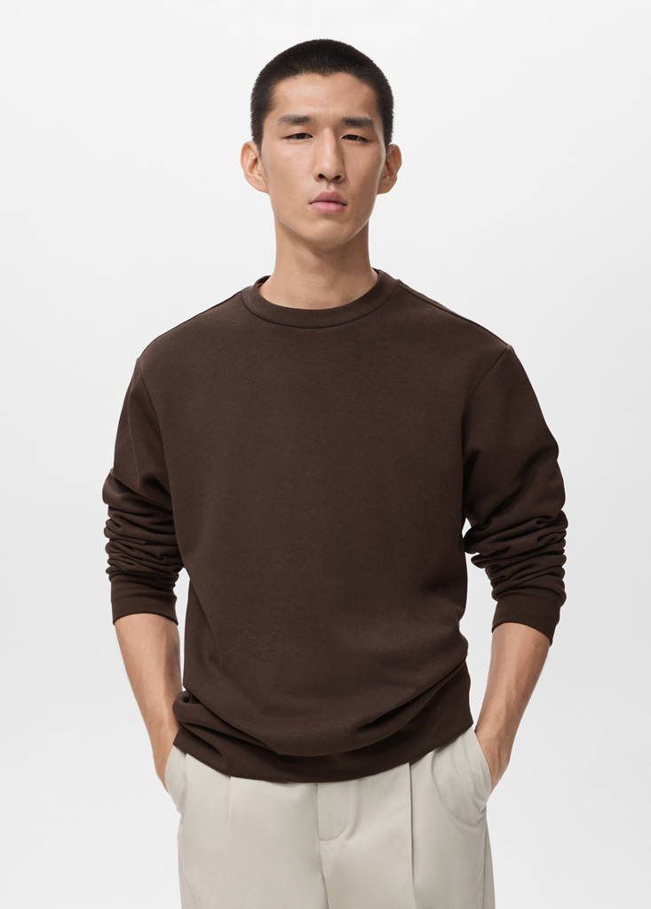 Regular-fit cotton sweatshirt — Chocolate