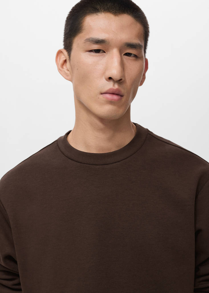 Regular-fit cotton sweatshirt — Chocolate