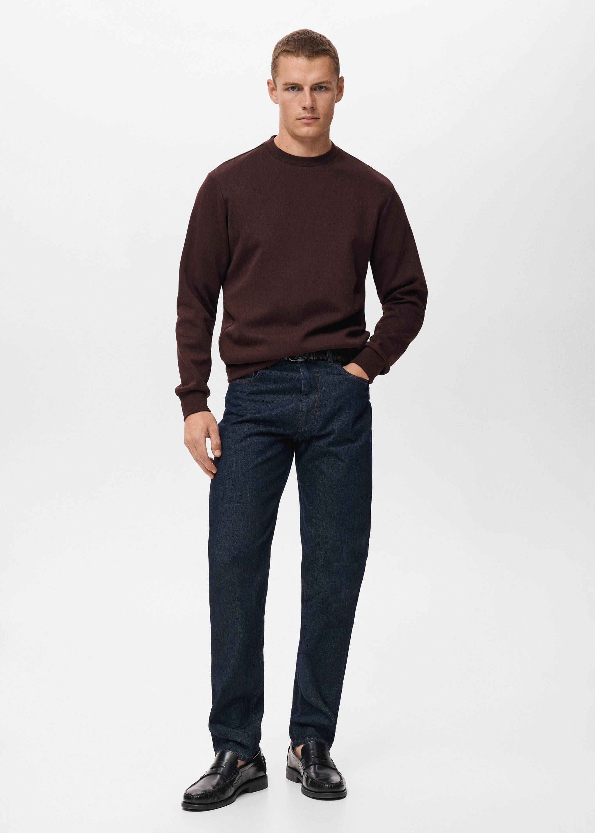 Regular-fit cotton sweatshirt - General plane