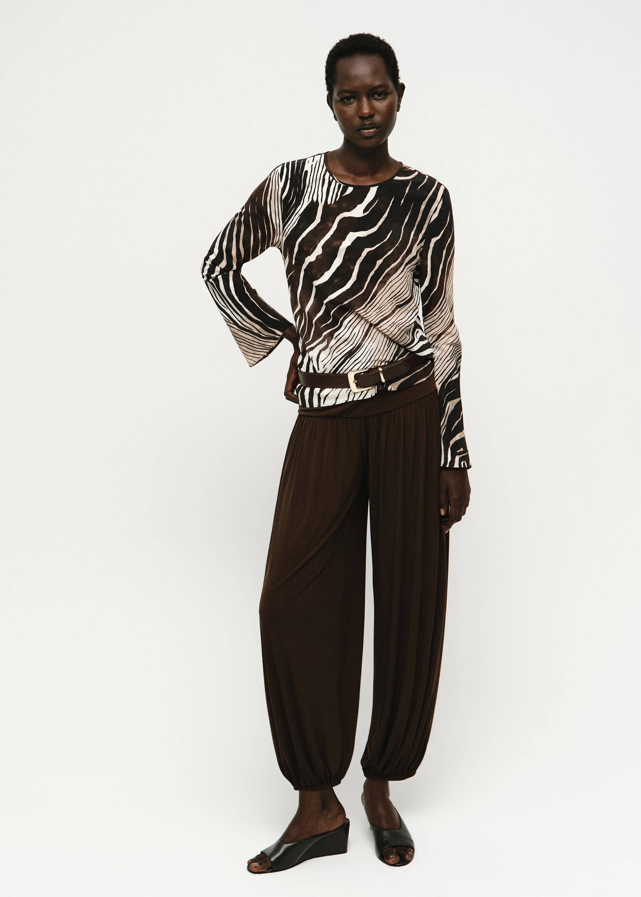 Zebra print blouse - General plane