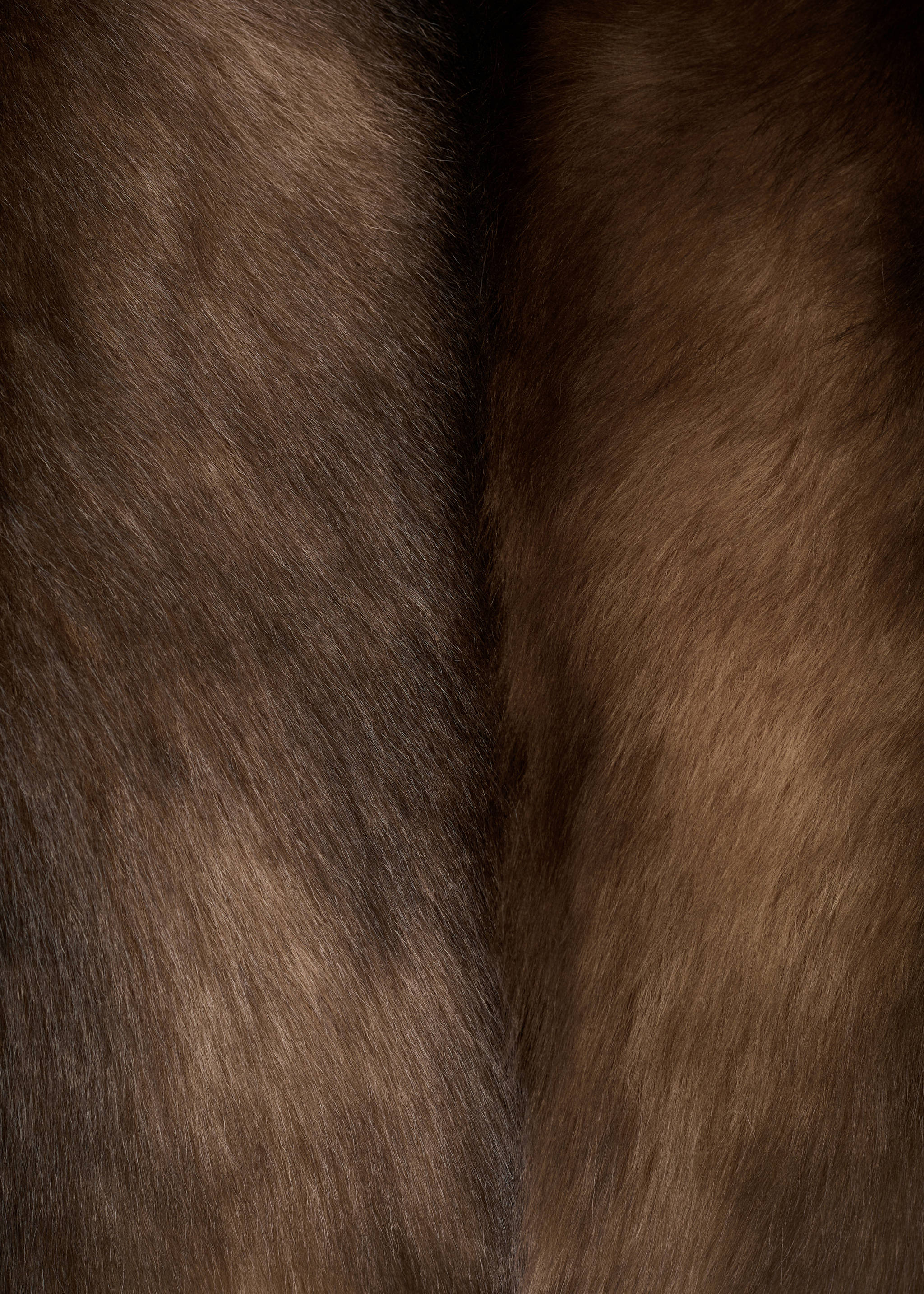 Faux-fur turtleneck vest - Details of the article 0