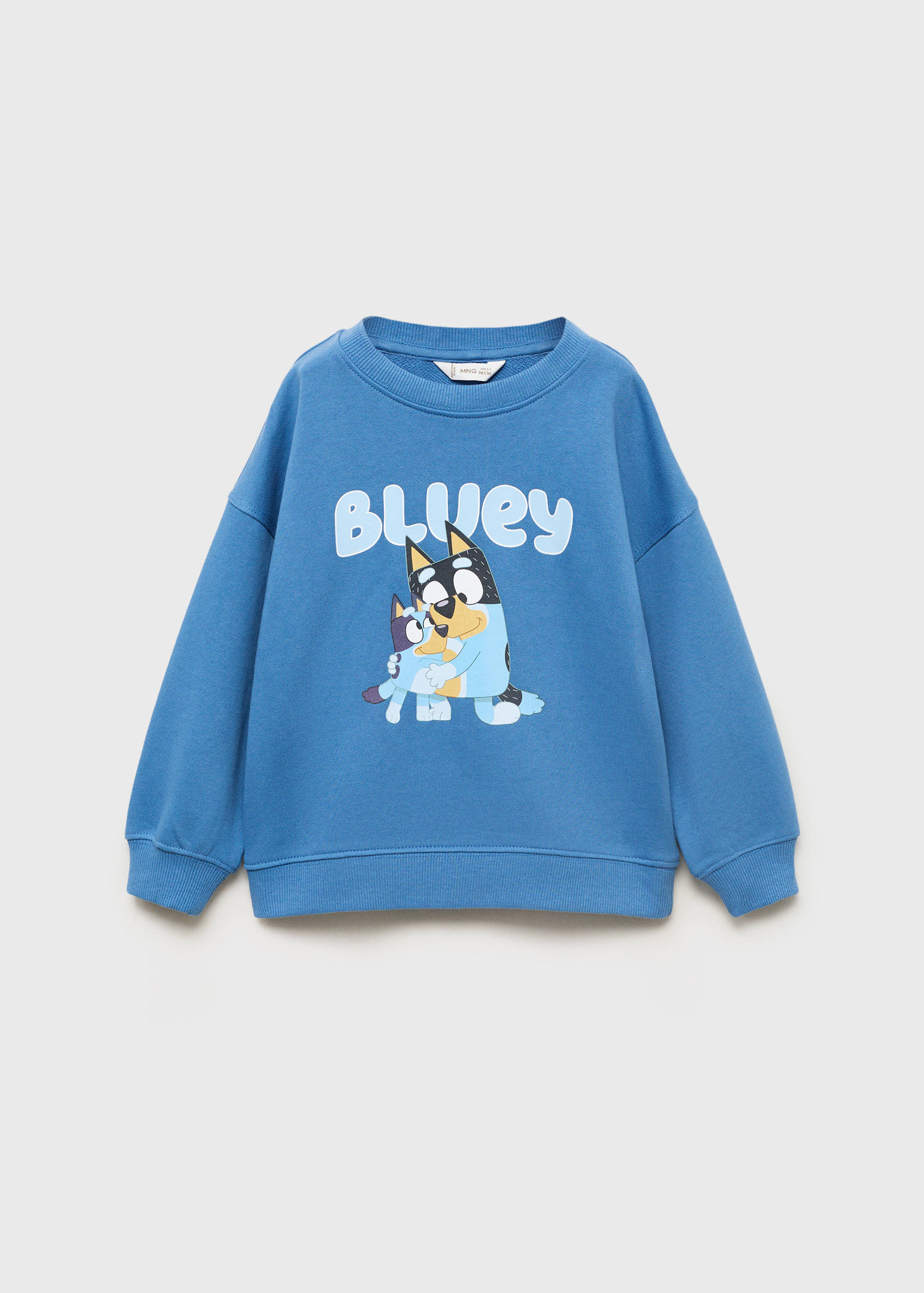 Bluey-print sweatshirt - Article without model