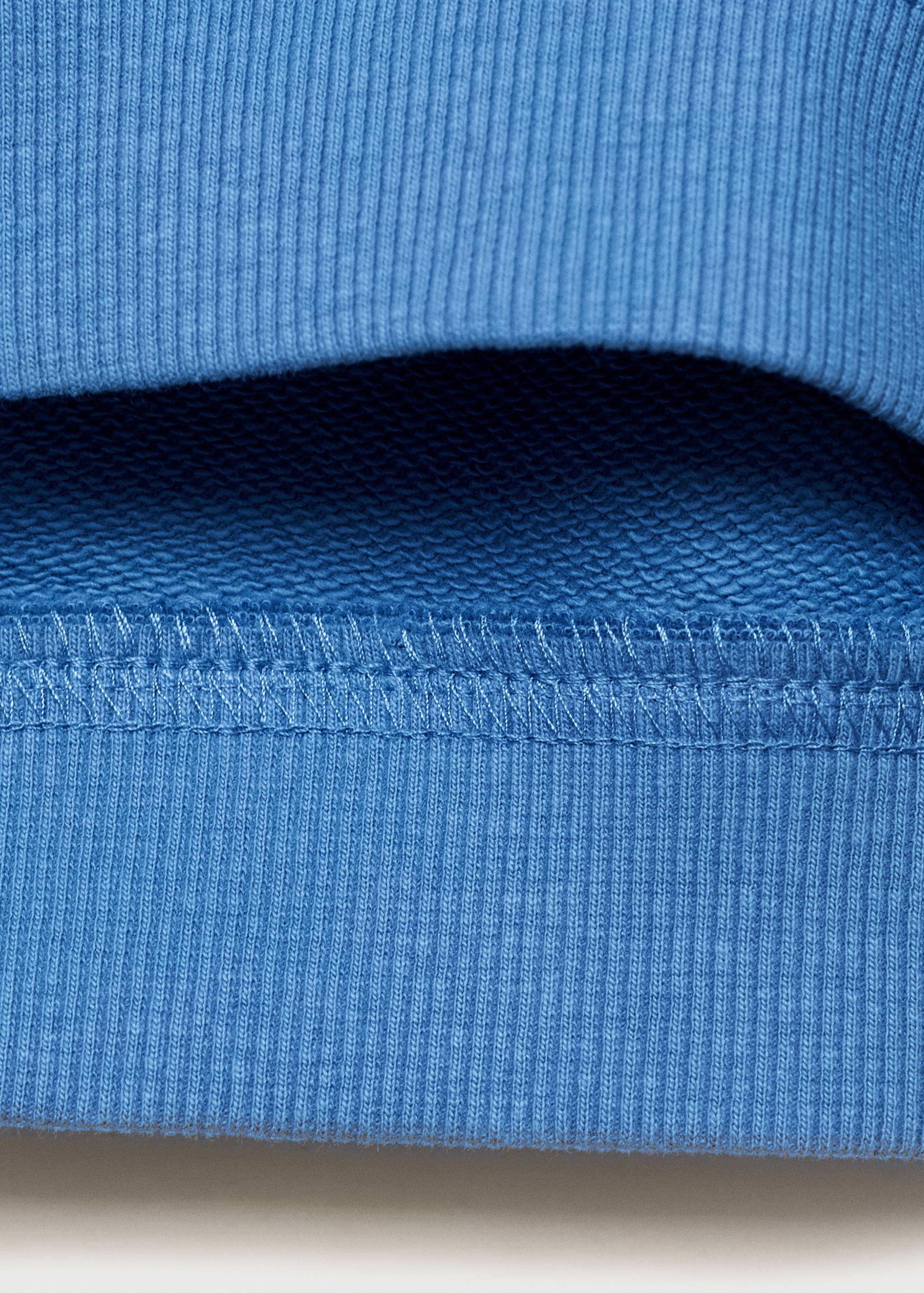 Bluey-print sweatshirt - Details of the article 0