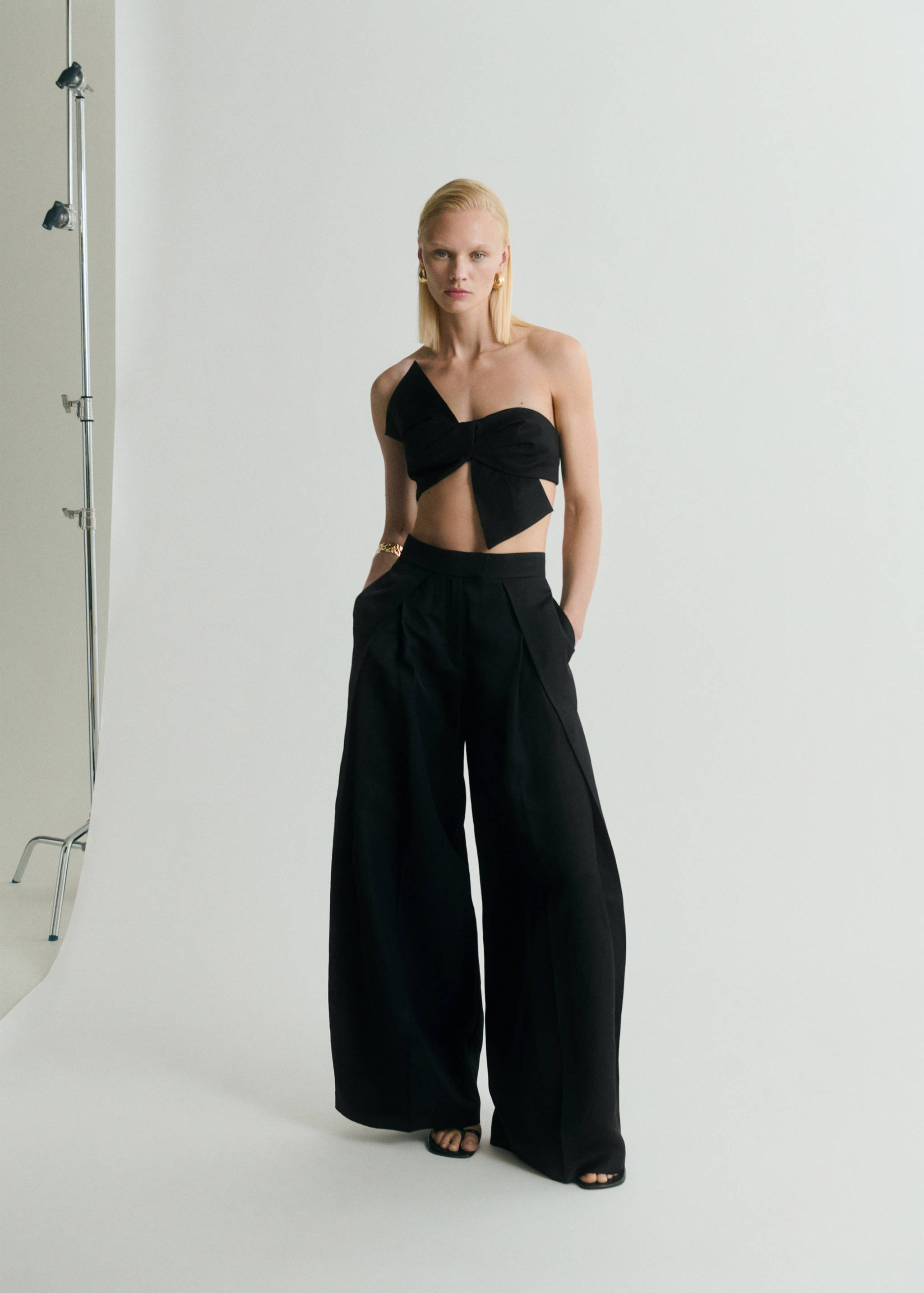 Wide leg pleated trousers - General plane