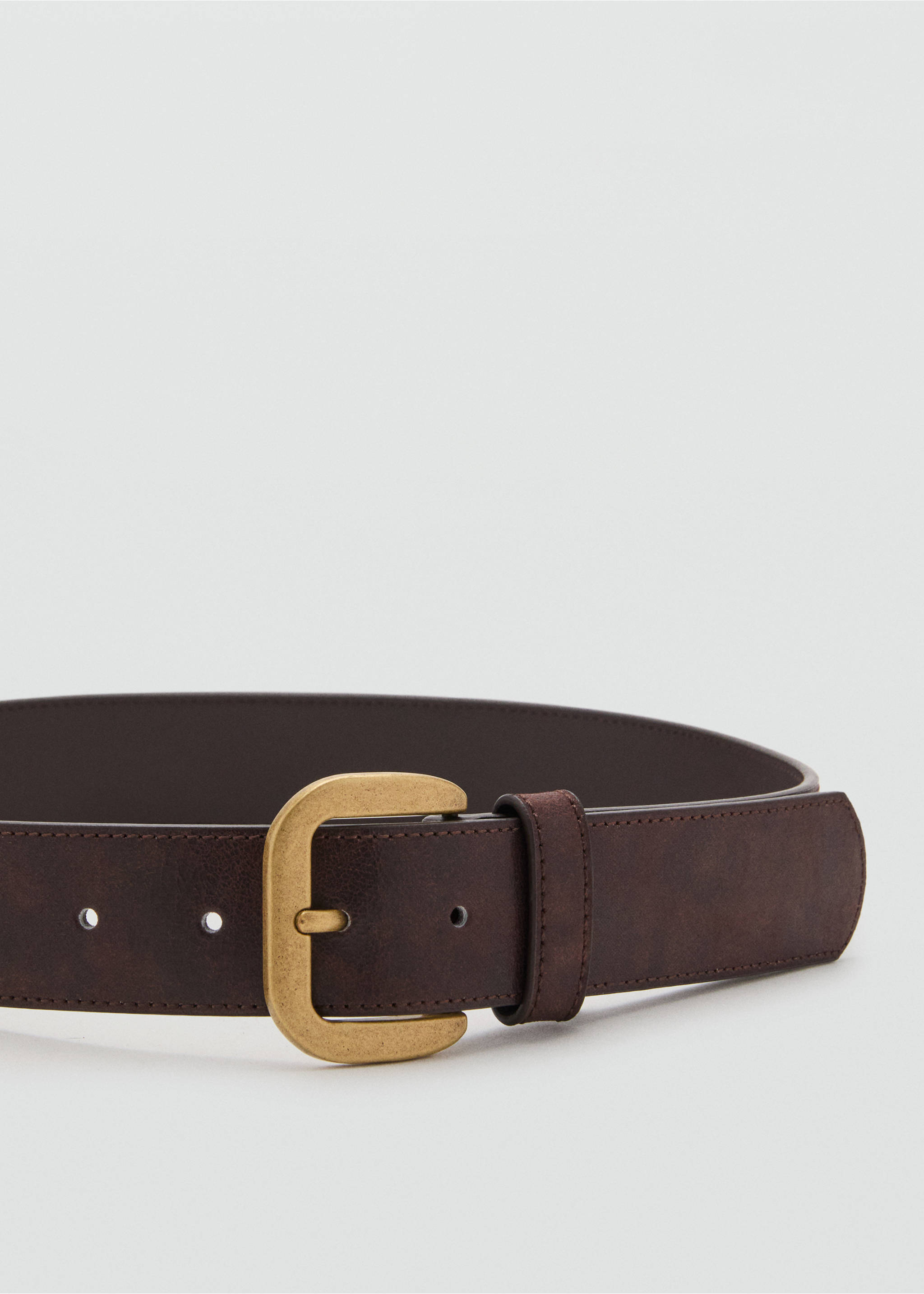 Square buckle belt - Details of the article 1, Chocolate. Ref: 17092541-00.