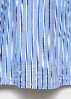 Striped cotton skirt — Blue 5
