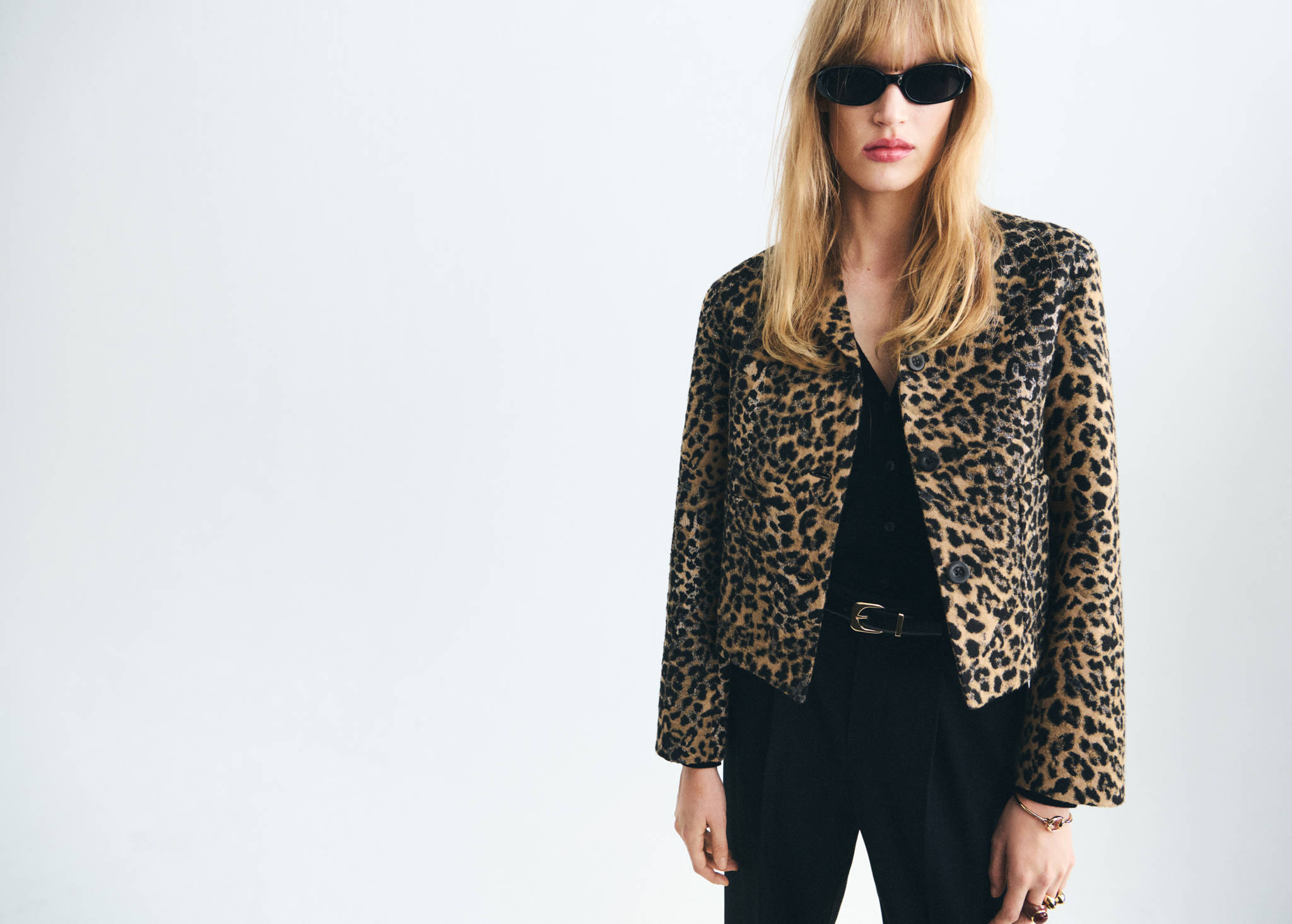 Leopard-print jacket with buttons - Panoramic plane