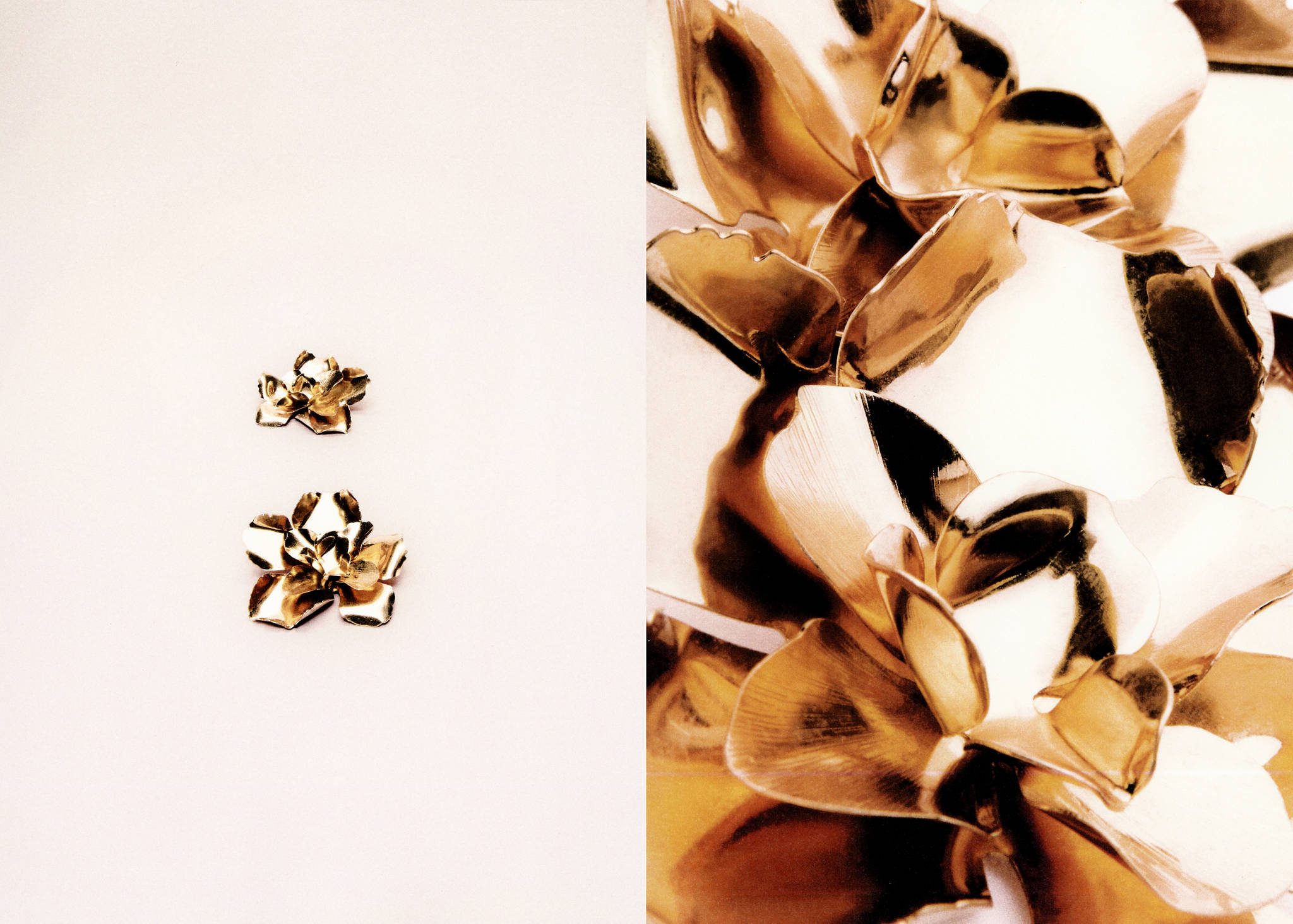 Flower-design earrings - Panoramic plane