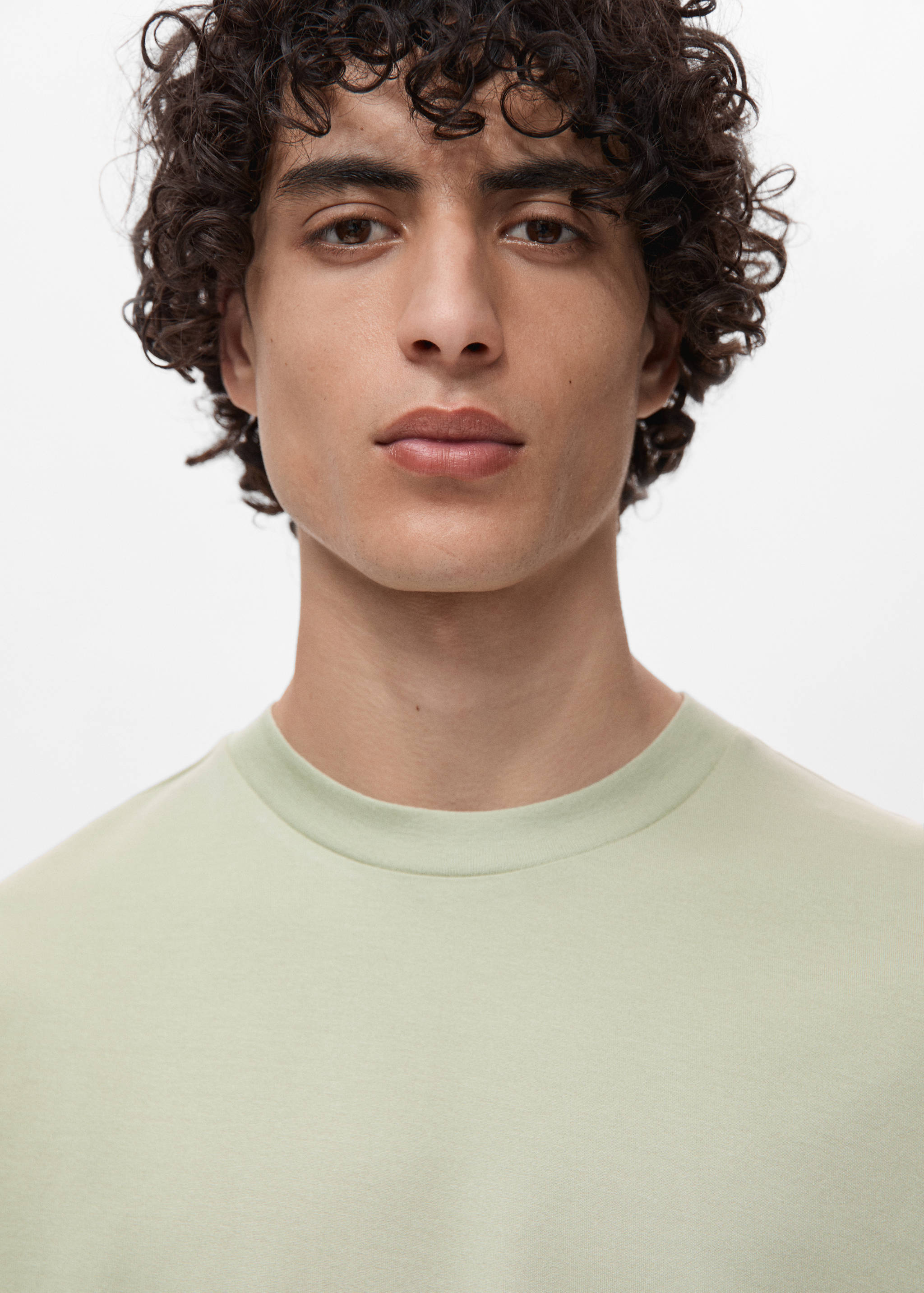 100% cotton T-shirt regular fit - Details of the article 1