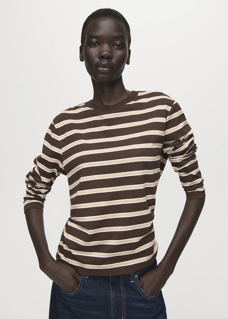 Long-sleeved striped t-shirt — Brown