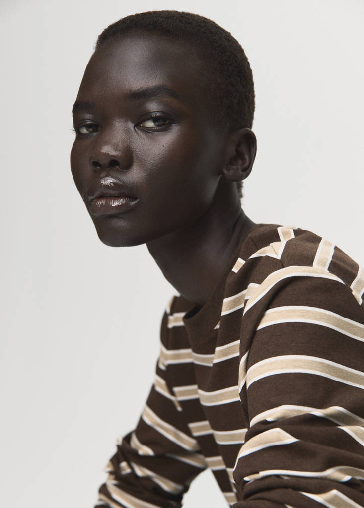 Long-sleeved striped t-shirt — Brown