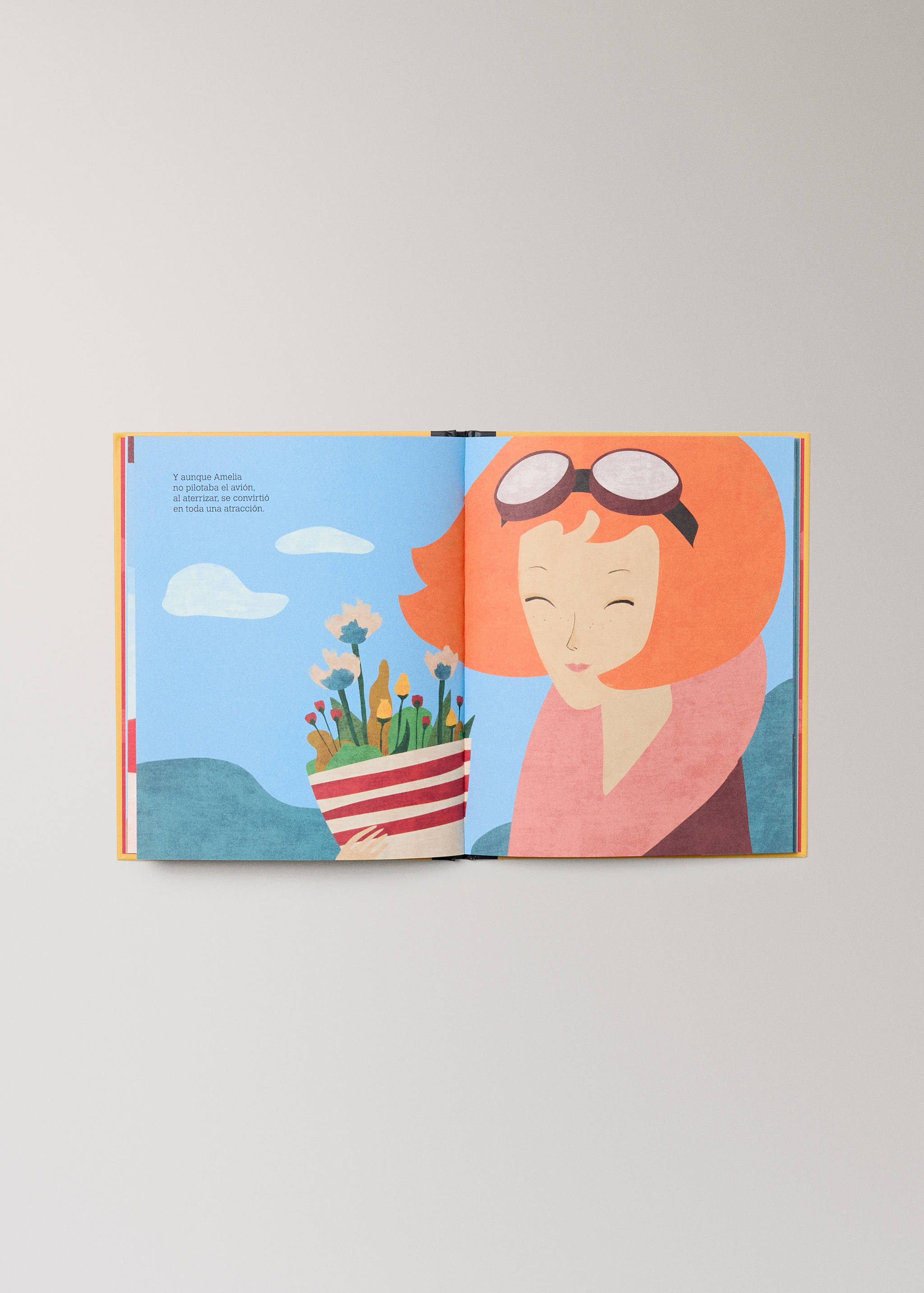 Libro infantil Amelia Earhart - Detalle del artículo 4