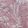 Pale Pink