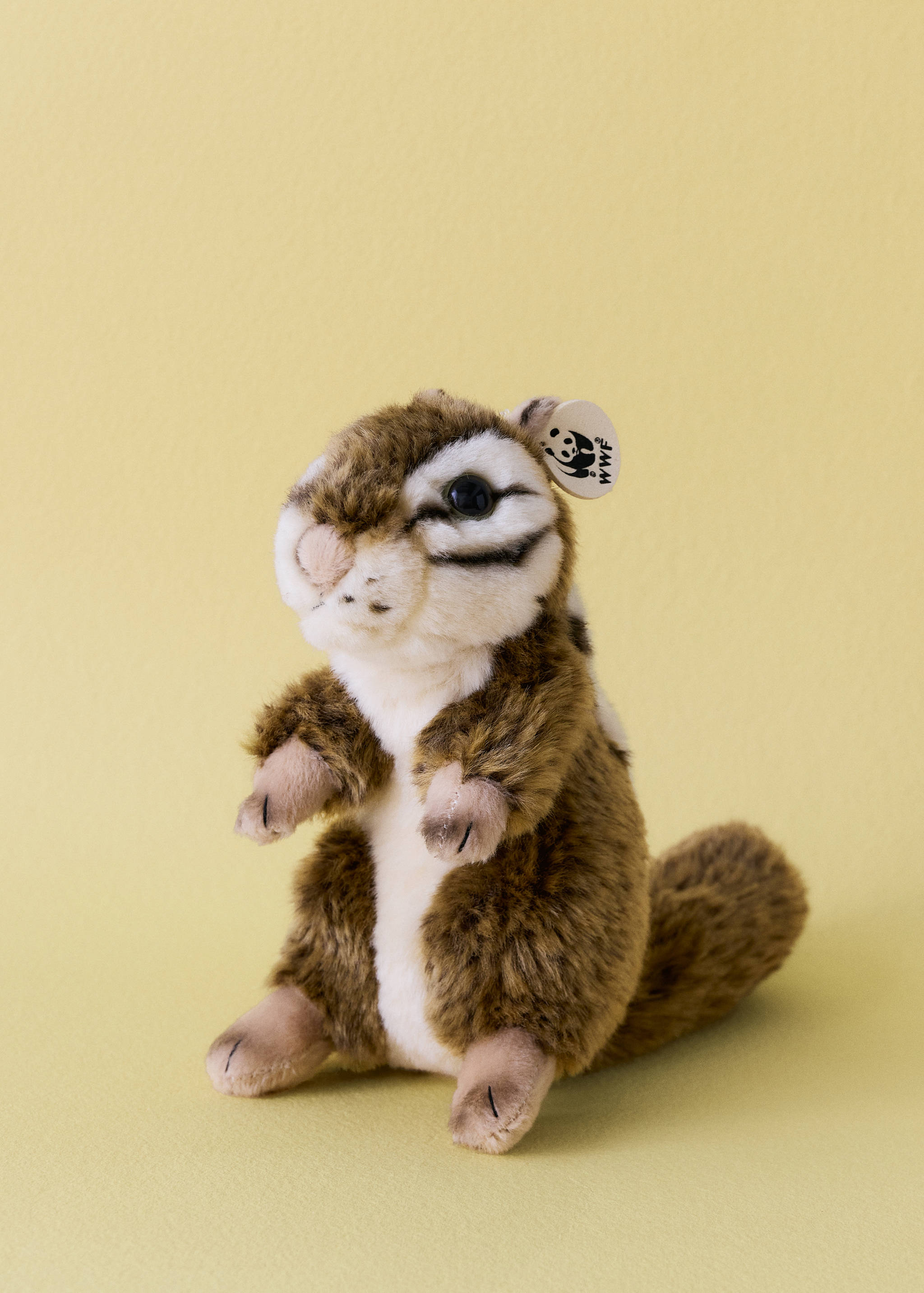 Squirrel plush toy - General plane