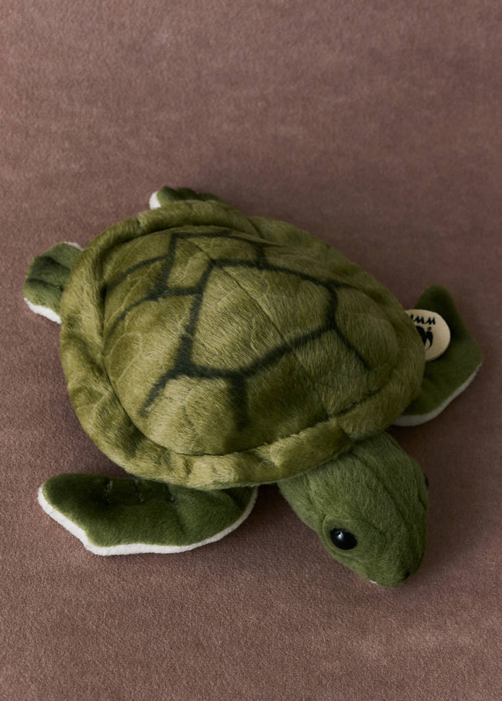 Plush tortoise — Pastel Green
