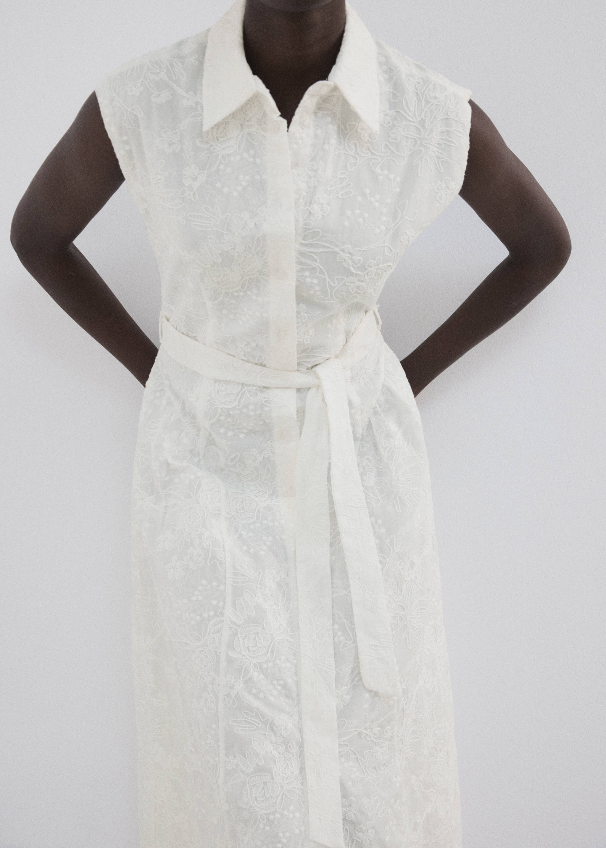 Embroidered belt dress - Medium plane