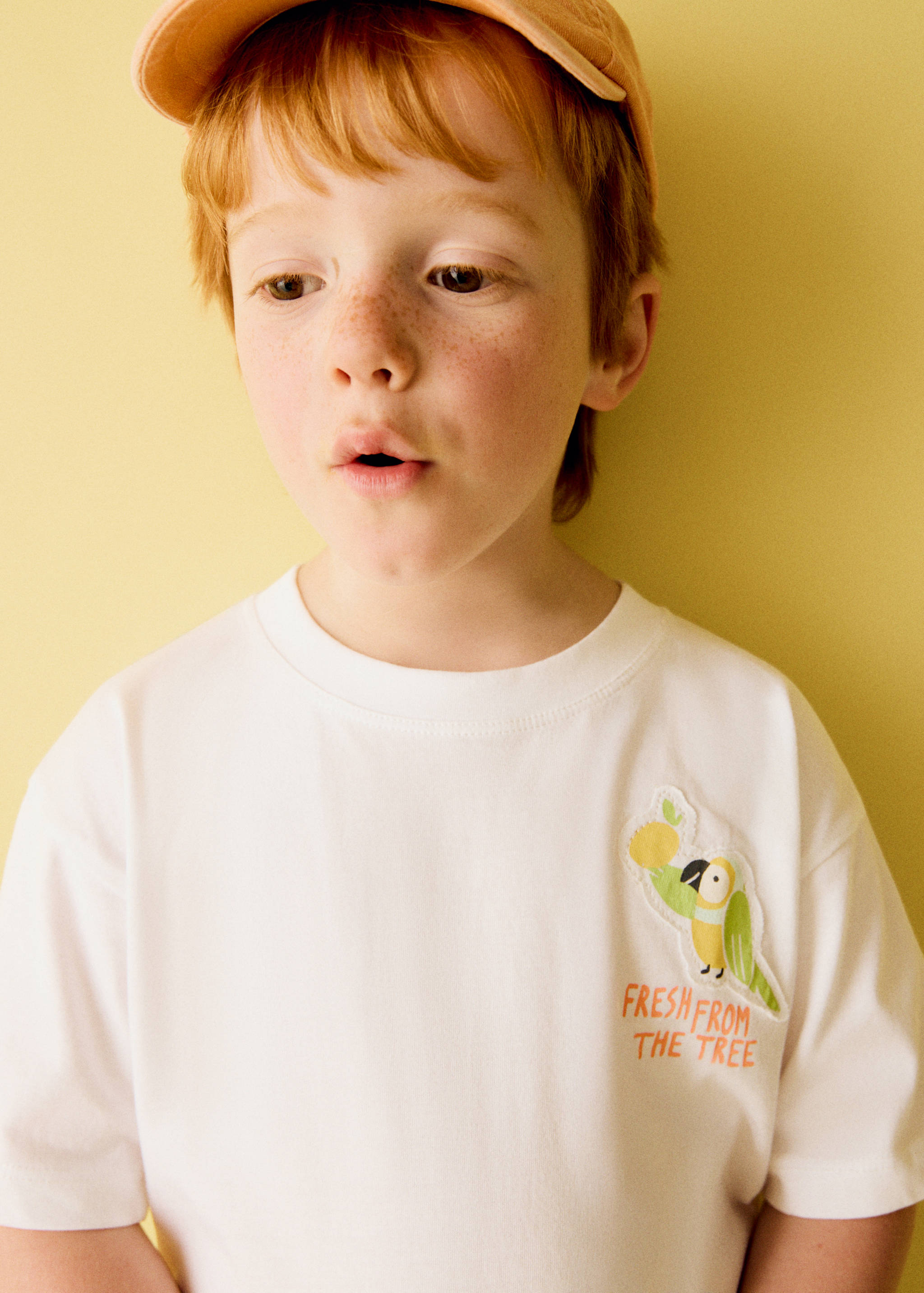 Embroidered detail cotton T-shirt - General plane