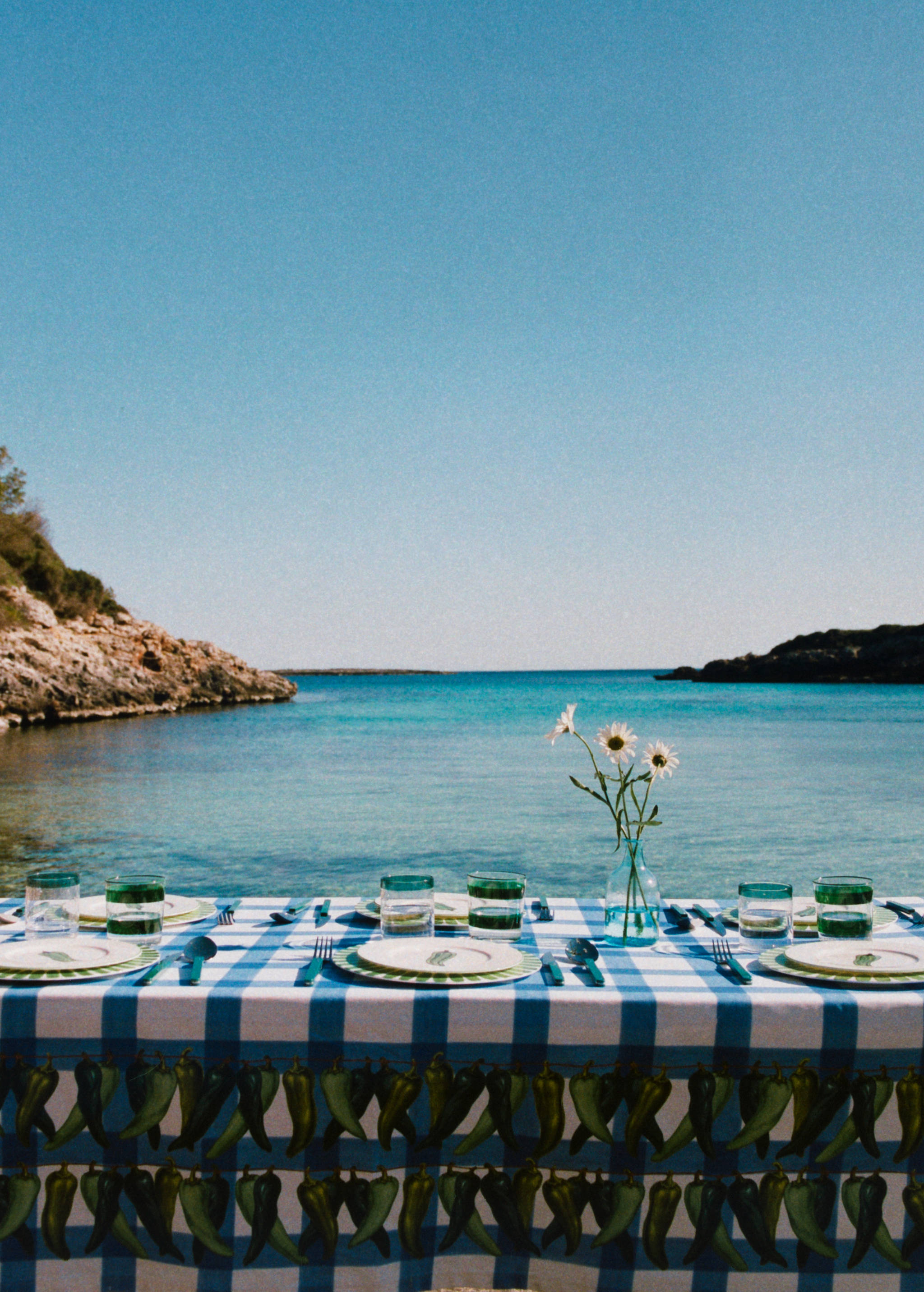 100% cotton resin-coated tablecloth with coloured peppers for 6 to 8 people - Details of the article 5