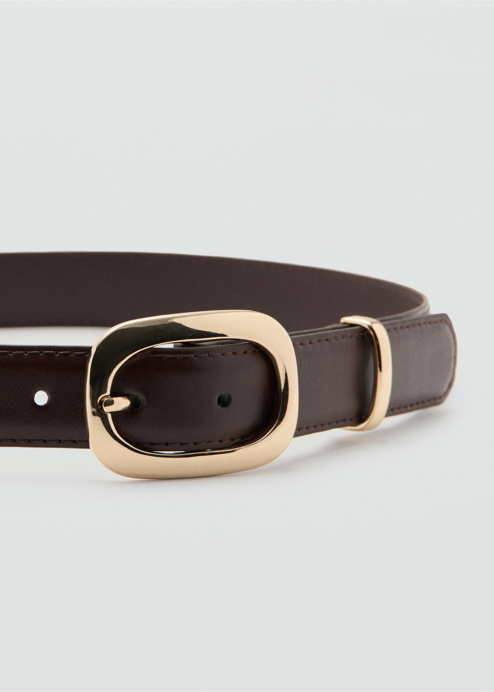 Square buckle belt - Details of the article 1, Chocolate. Ref: 27012896-00.