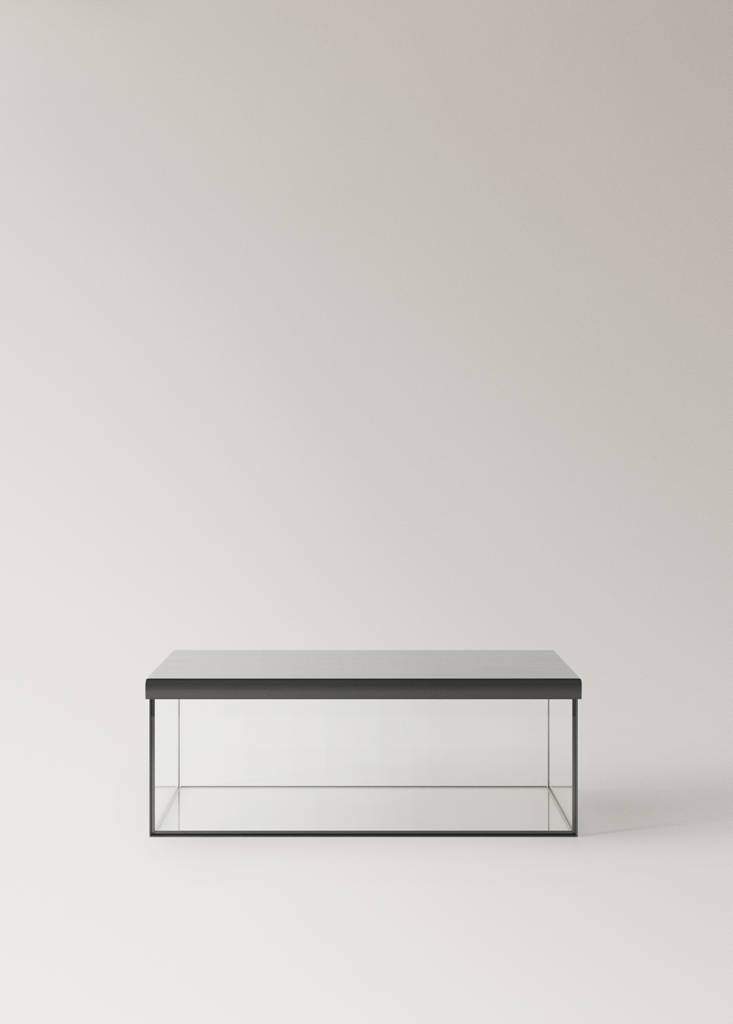 Large glass box with metal contrast — Silver