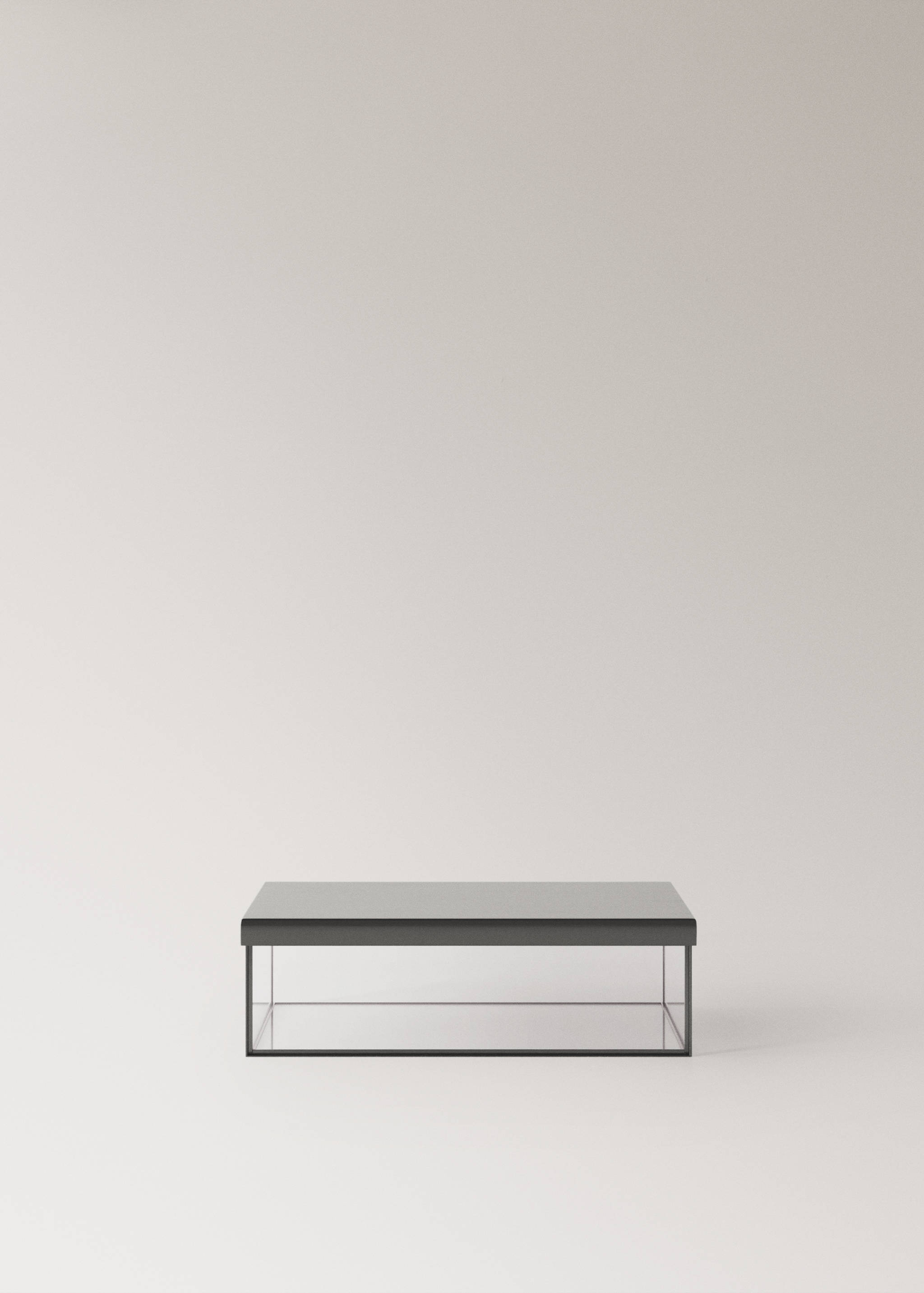 Medium glass box with metal contrast - Article without model