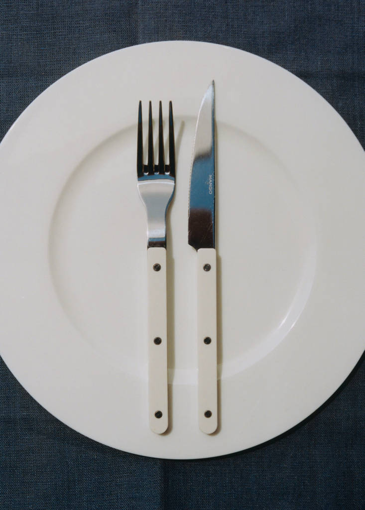 Stainless steel cutlery set with resin handles — White