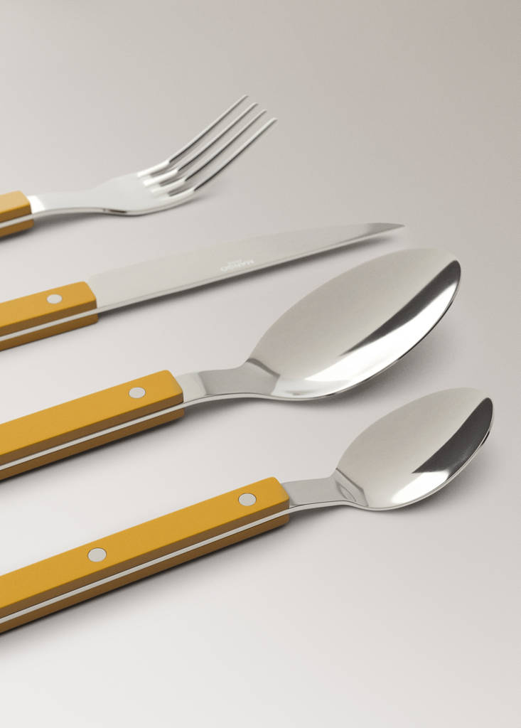 Stainless steel cutlery set with resin handles — Curry
