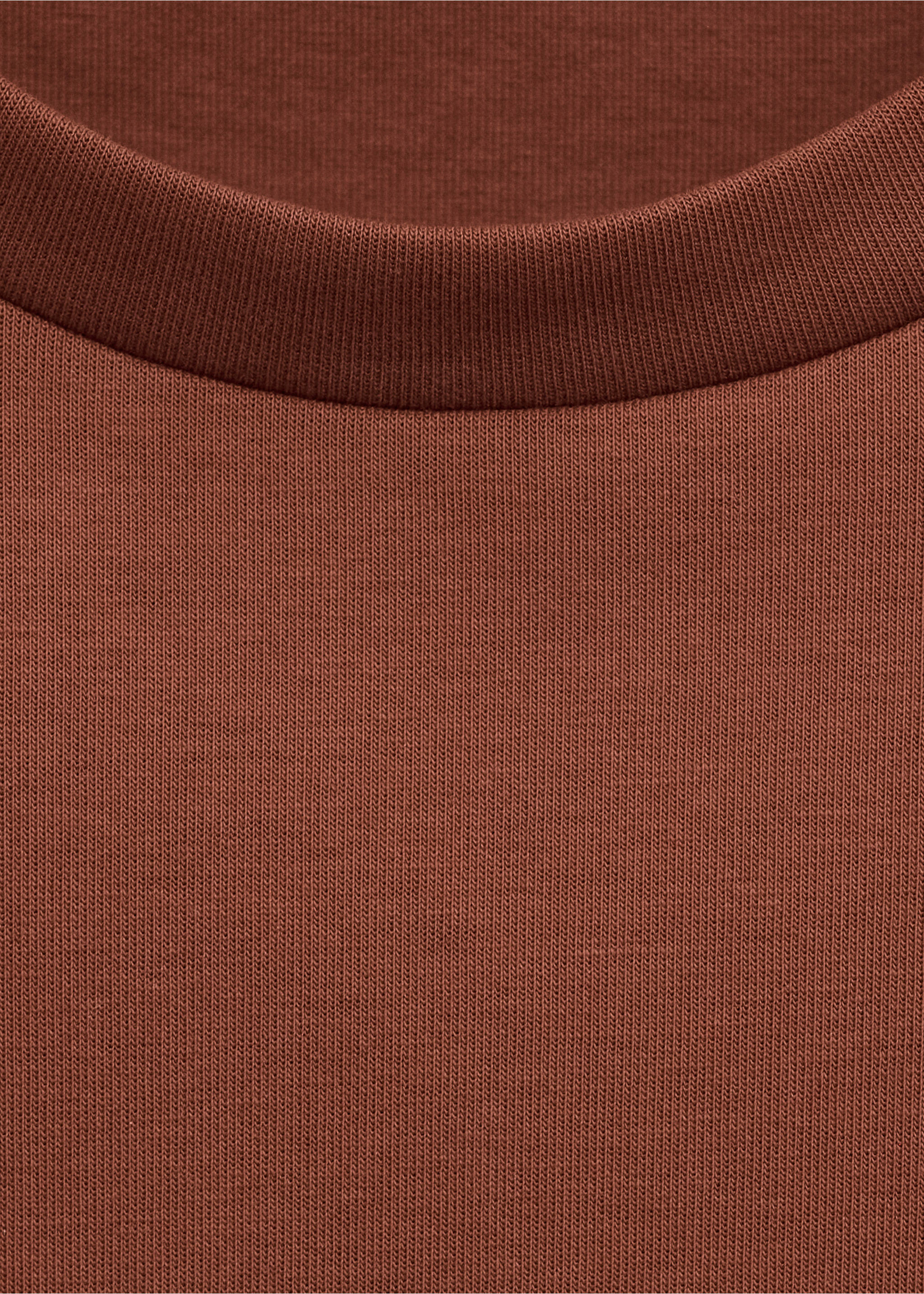 Oversized cotton t-shirt - Details of the article 8, Russet. Ref: 27014442-00.