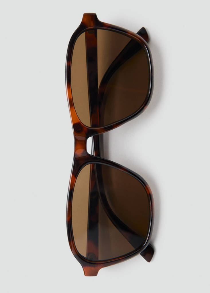 Resin frame sunglasses — Chocolate