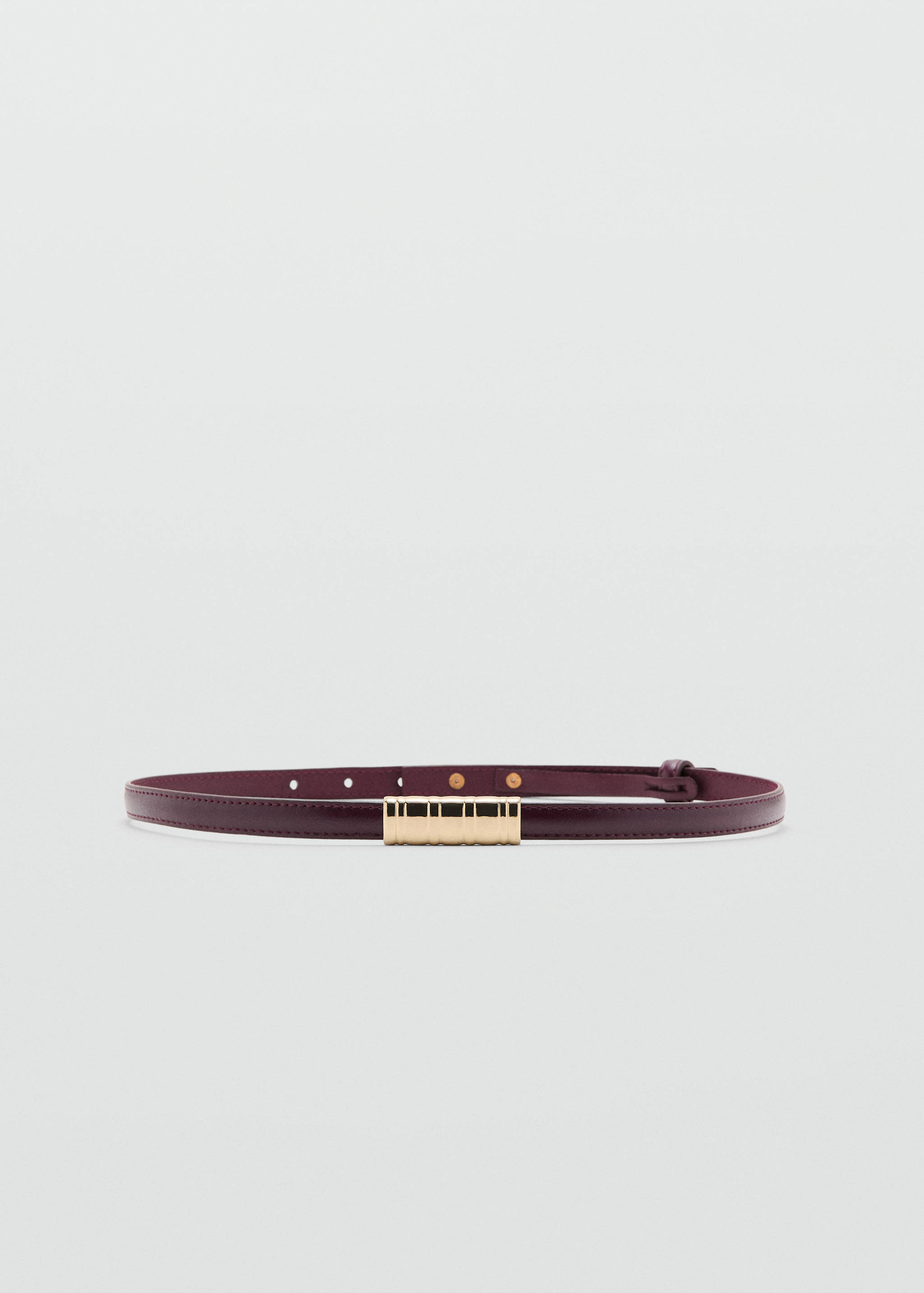 Thin belt with metal detail - Article without model