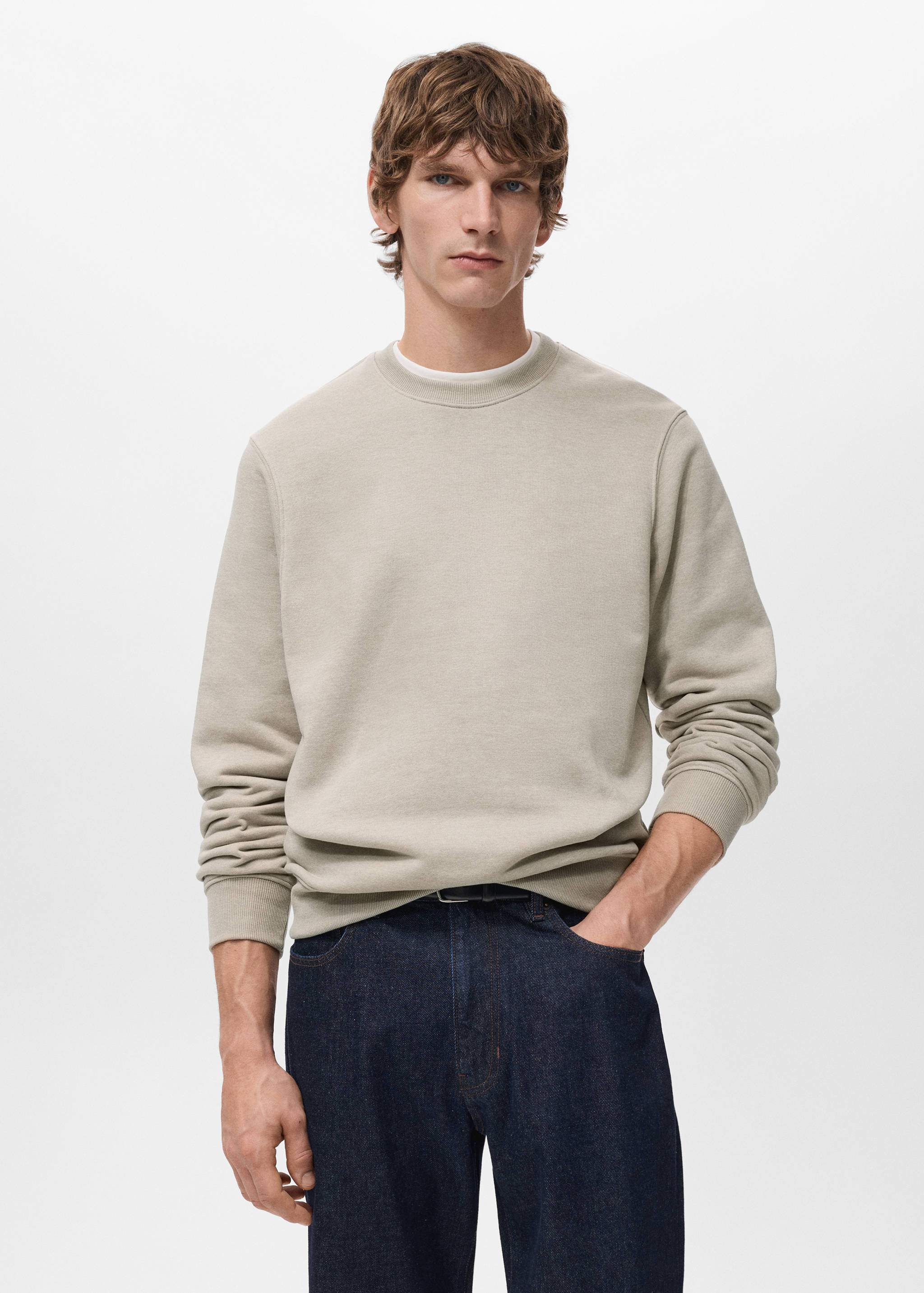 Cotton sweatshirt with soft-touch lining - Medium plane