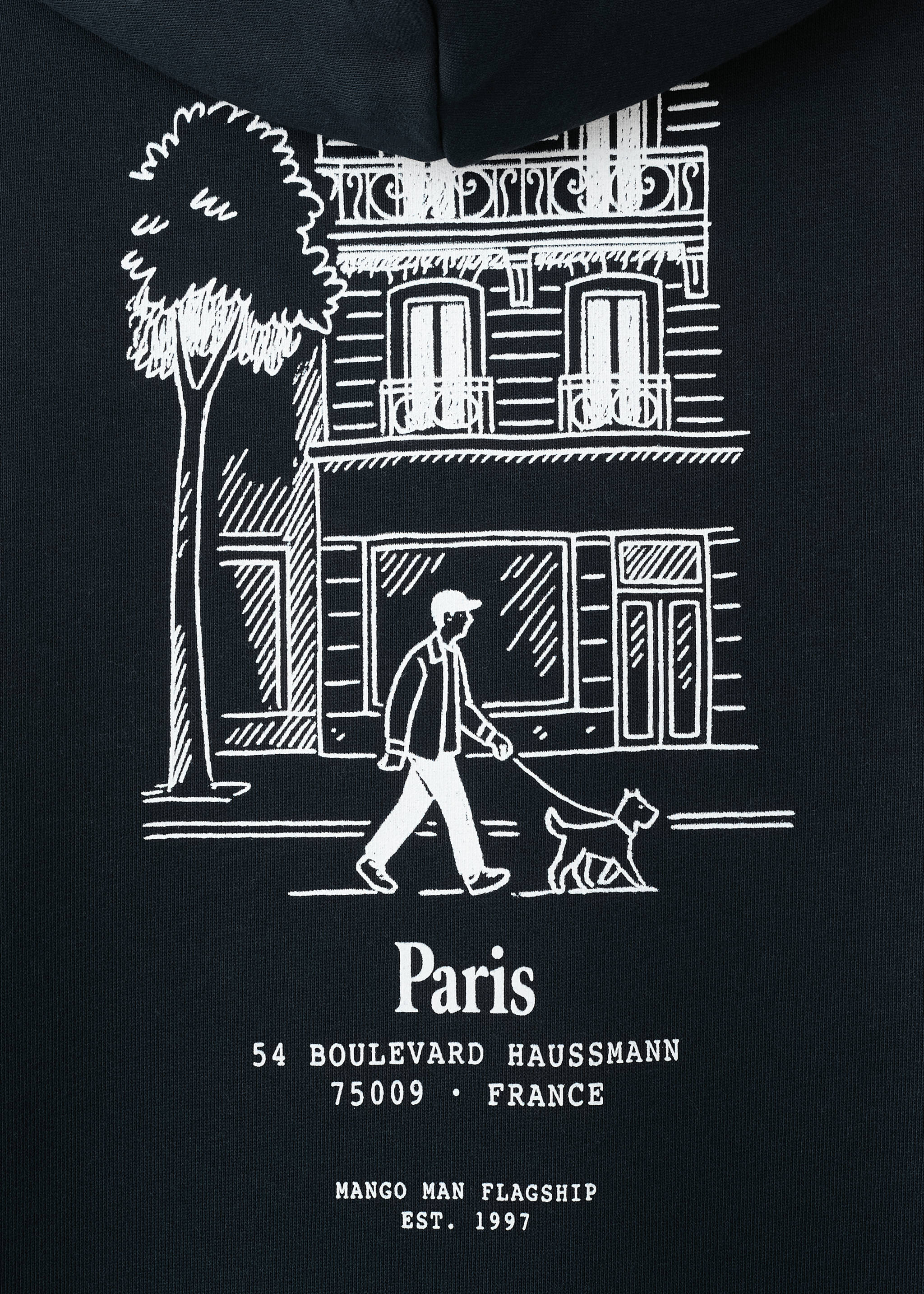 Sudadera capucha gráfico - Detalle del artículo 0