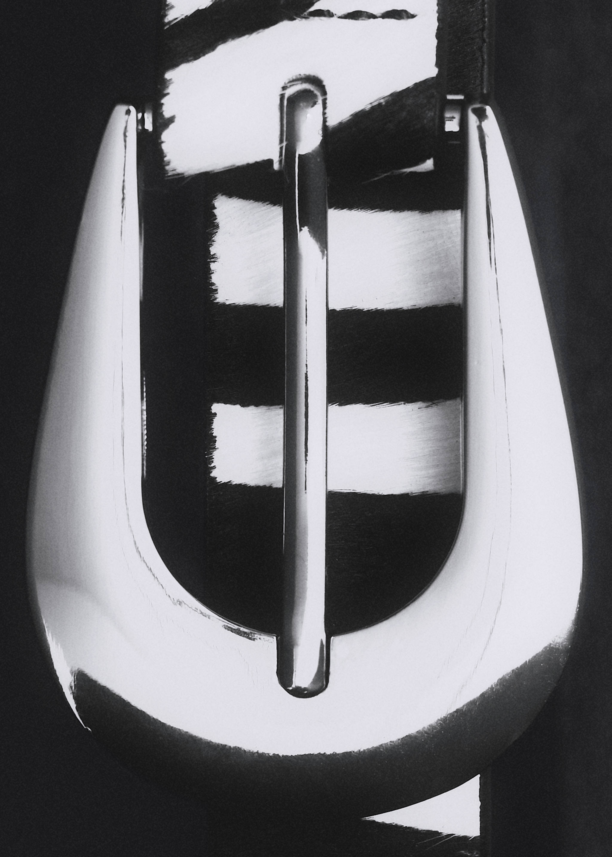 Zebra-print fur belt - General plane