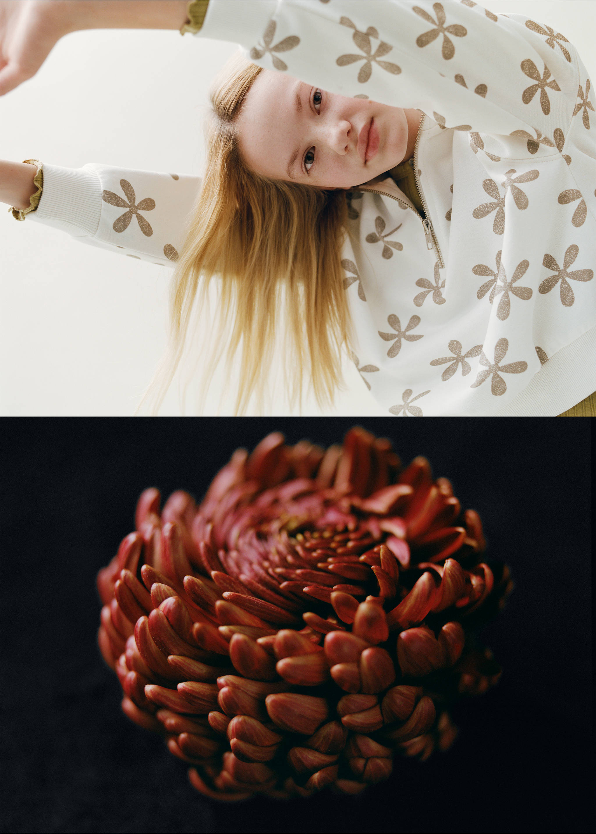 Sudadera estampada floral - Detalle del artículo 5, Blanco roto. Ref: 27023717-00.