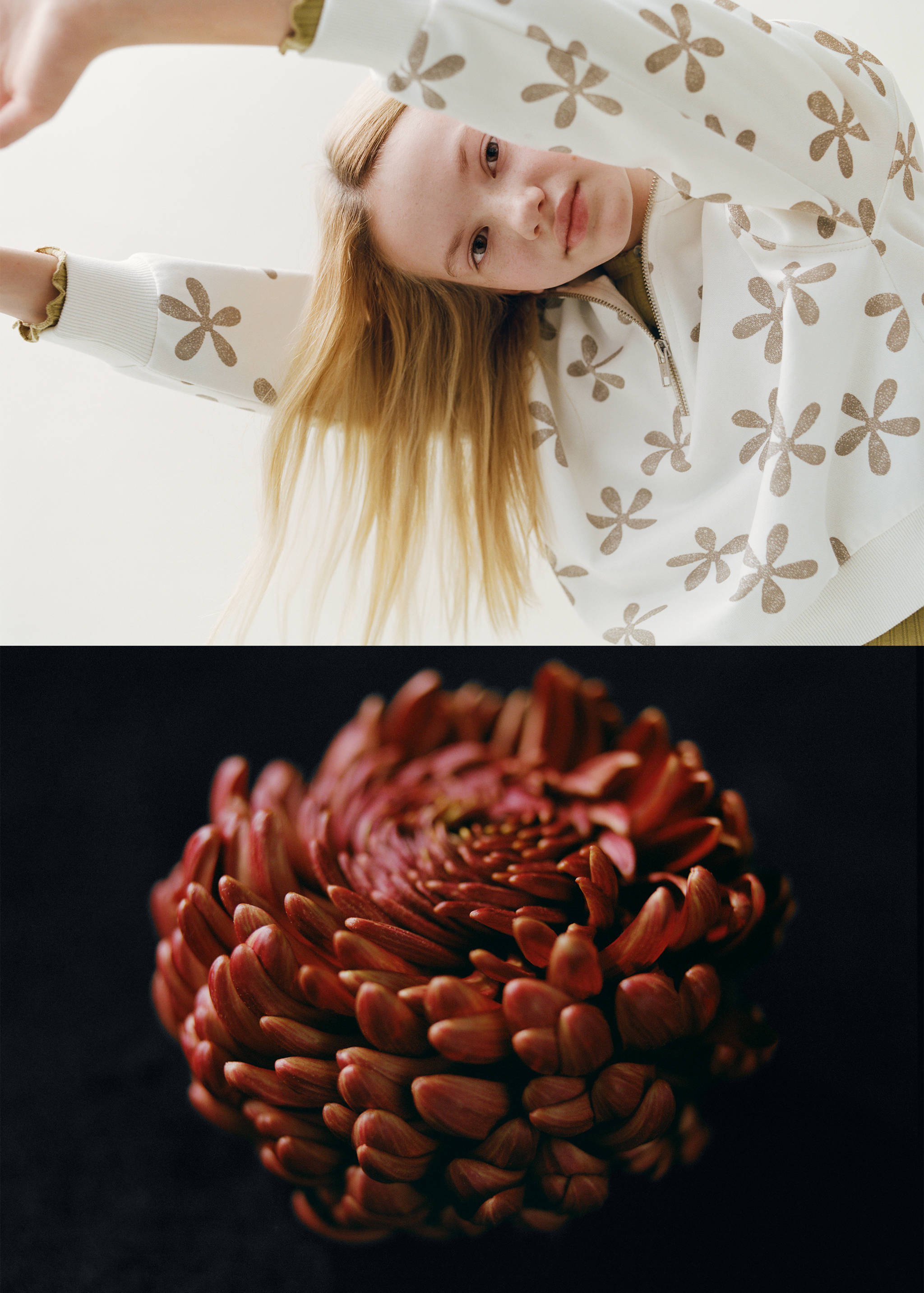 Sudadera estampada floral - Detalle del artículo 5