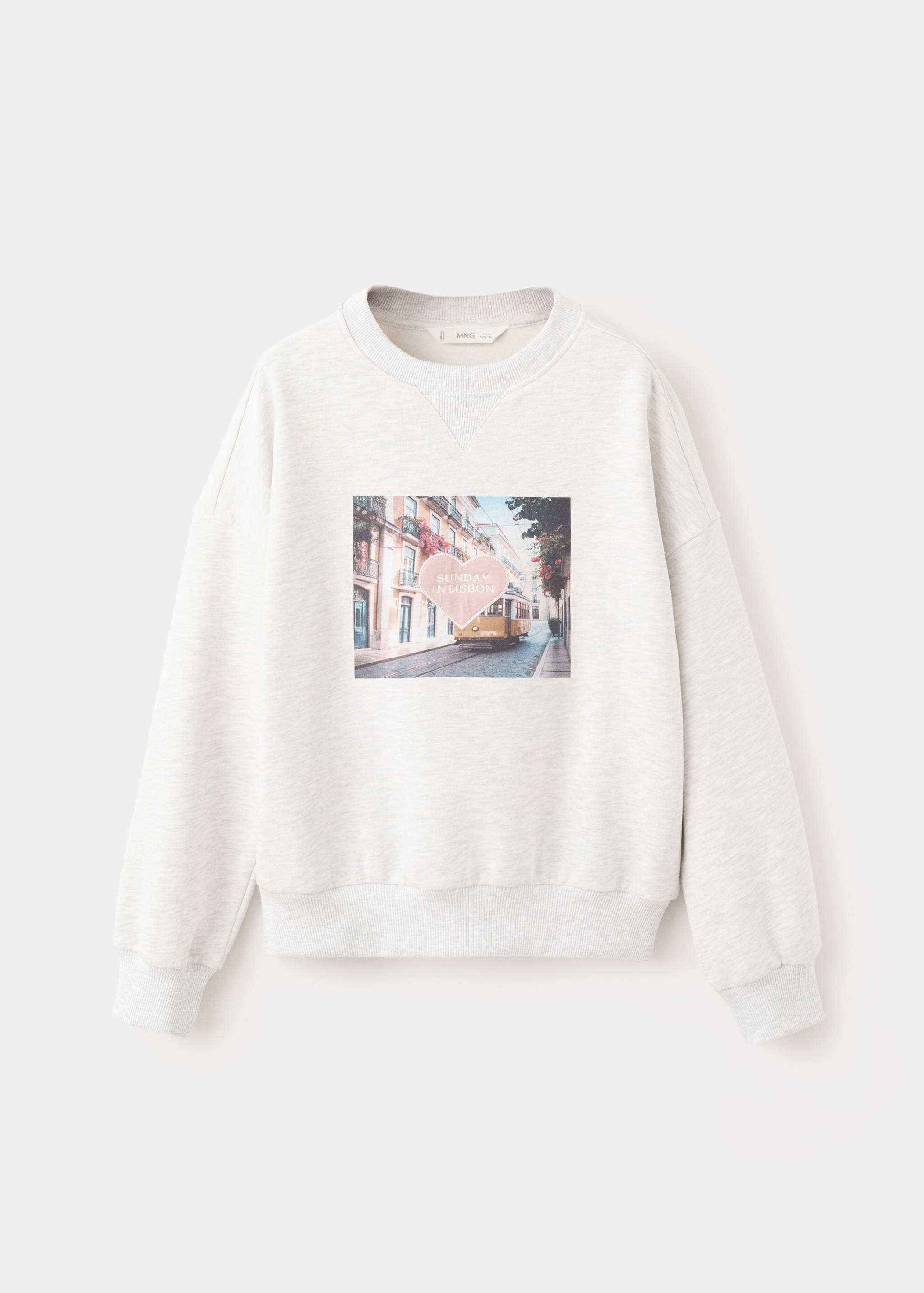 Printed embroidered sweatshirt - Article without model